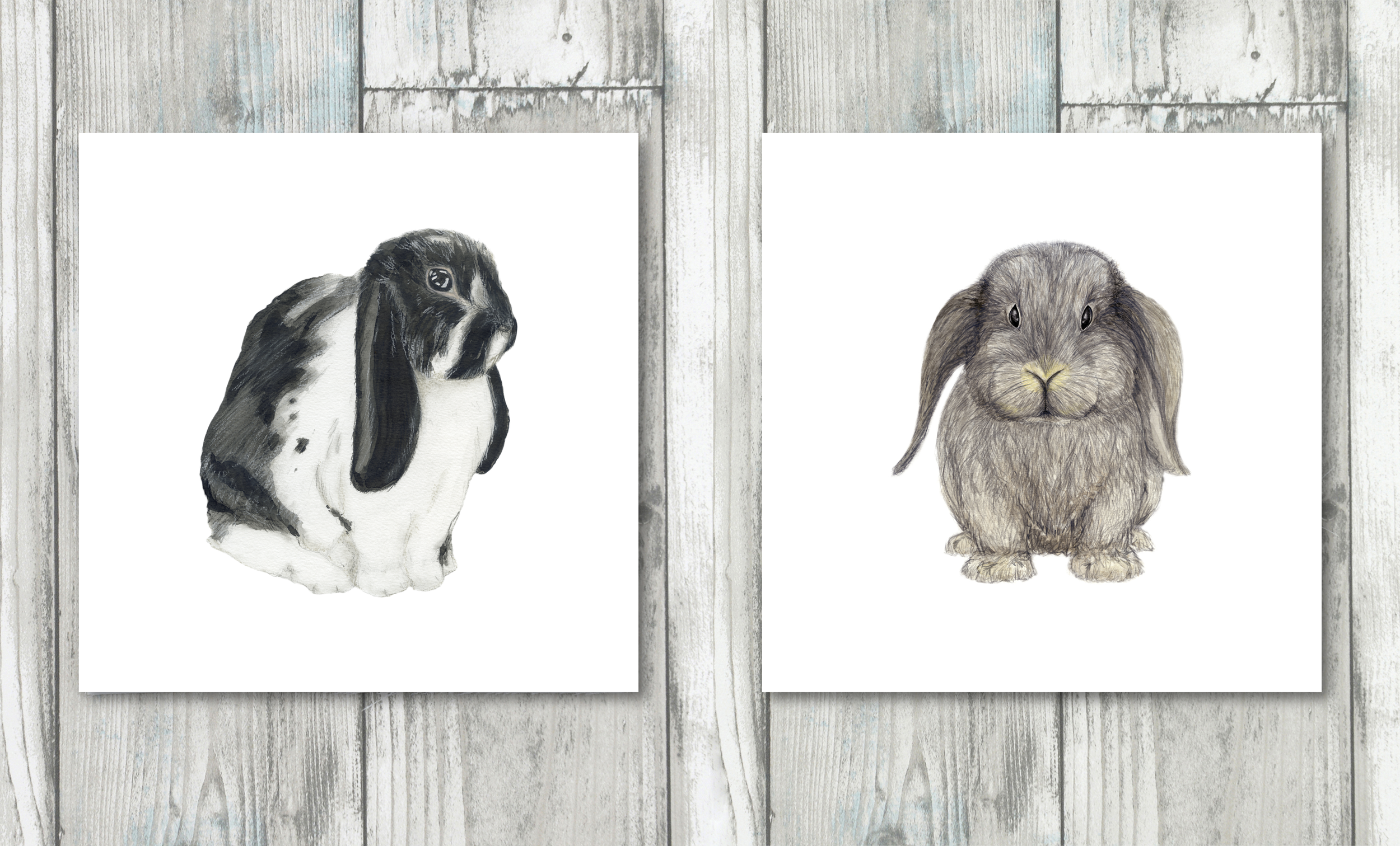 Lop Eared Bunny Rabbit designs on cotton fabric