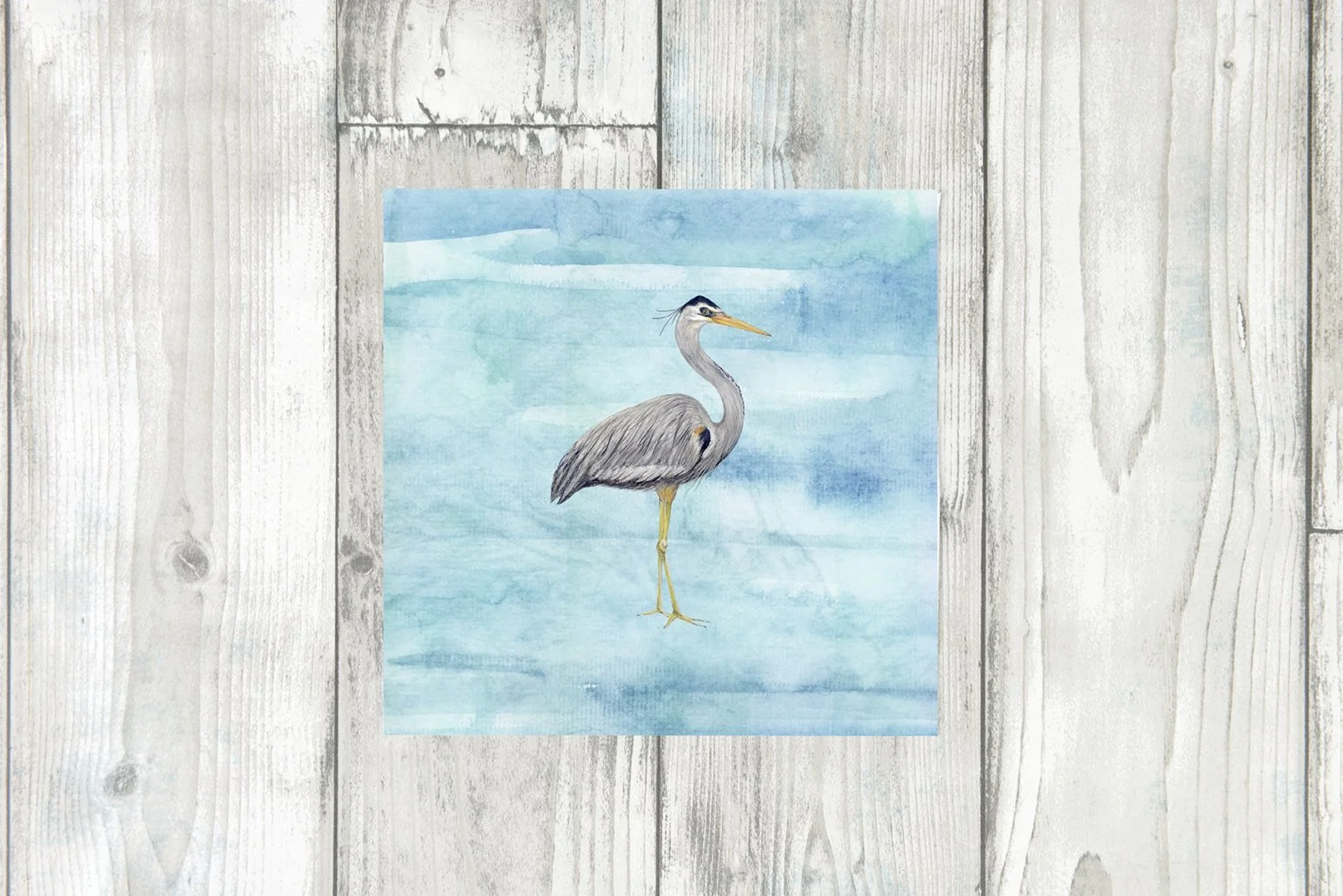 HERON TEX.jpg