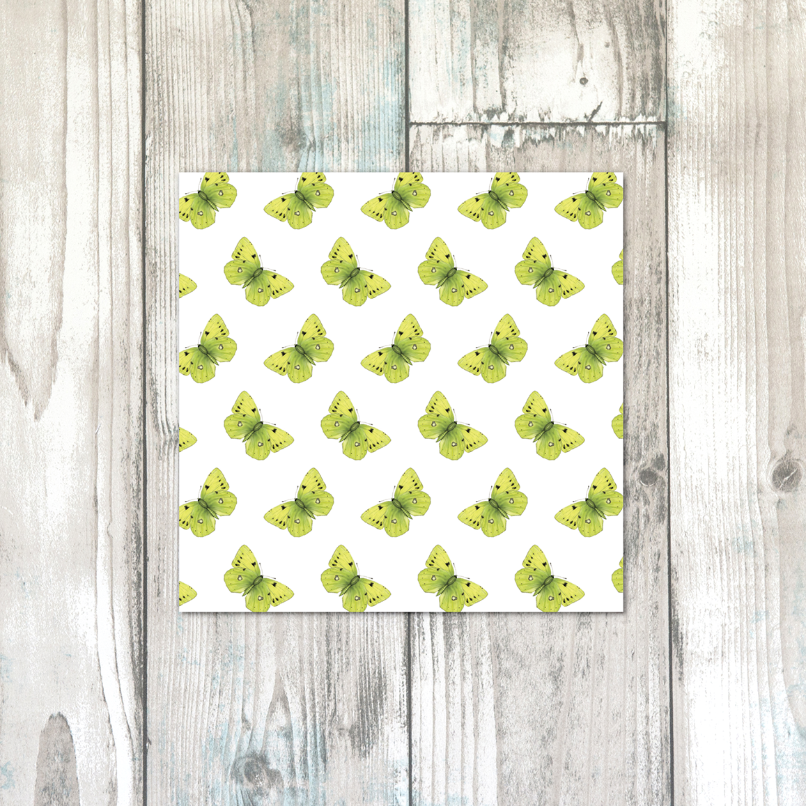 CLOUDED YELLOW BUTTERFLYrpt.png