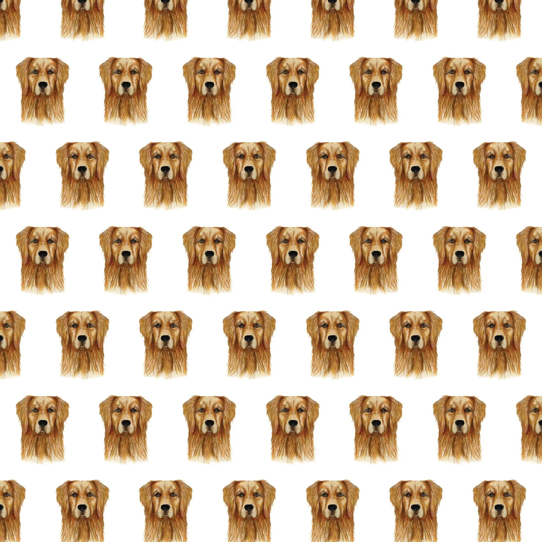 GOLDEN RETRIEVER SINGLES.jpg