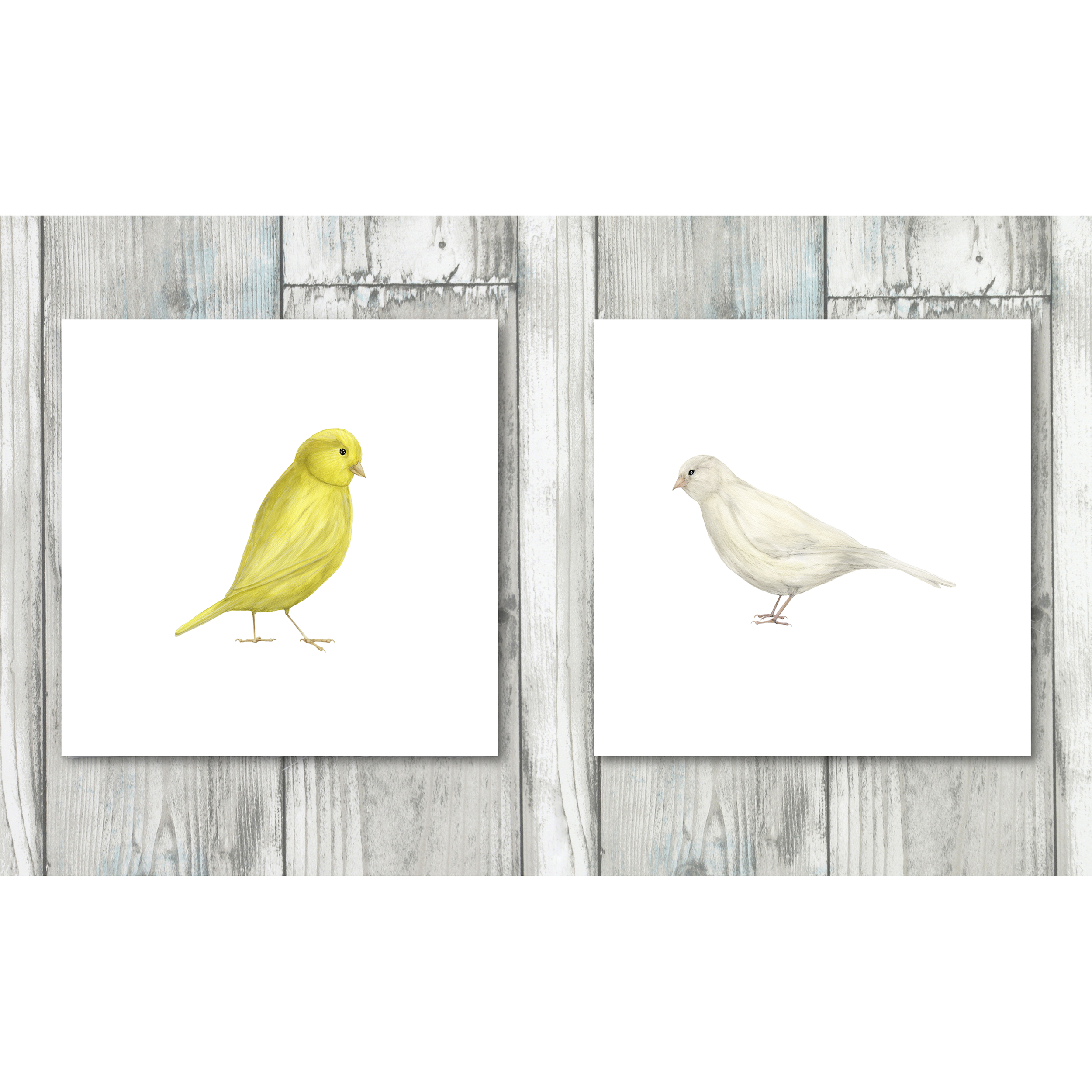 Canary design on cotton fabric