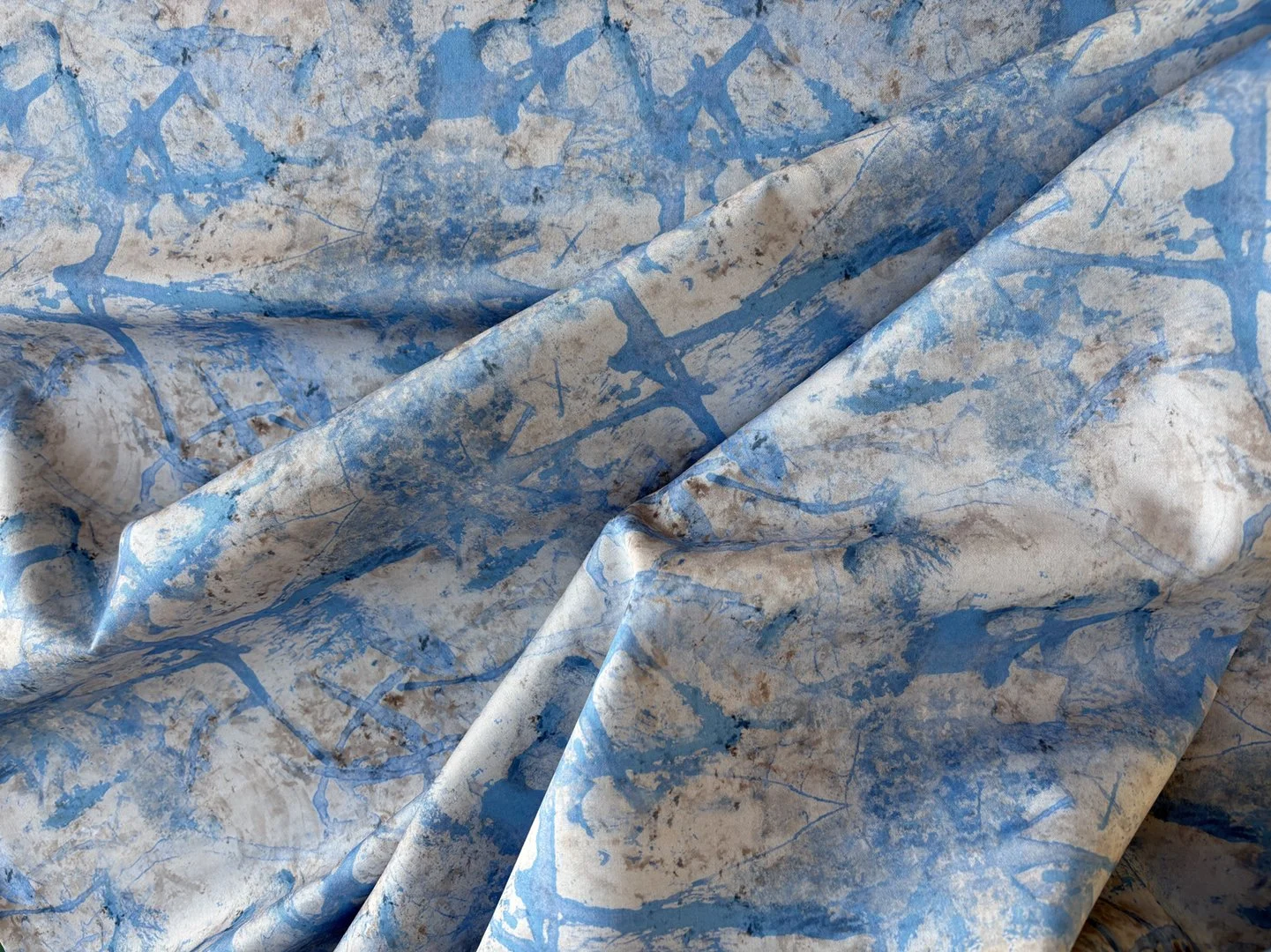 common blue butterfly background tex.jpeg