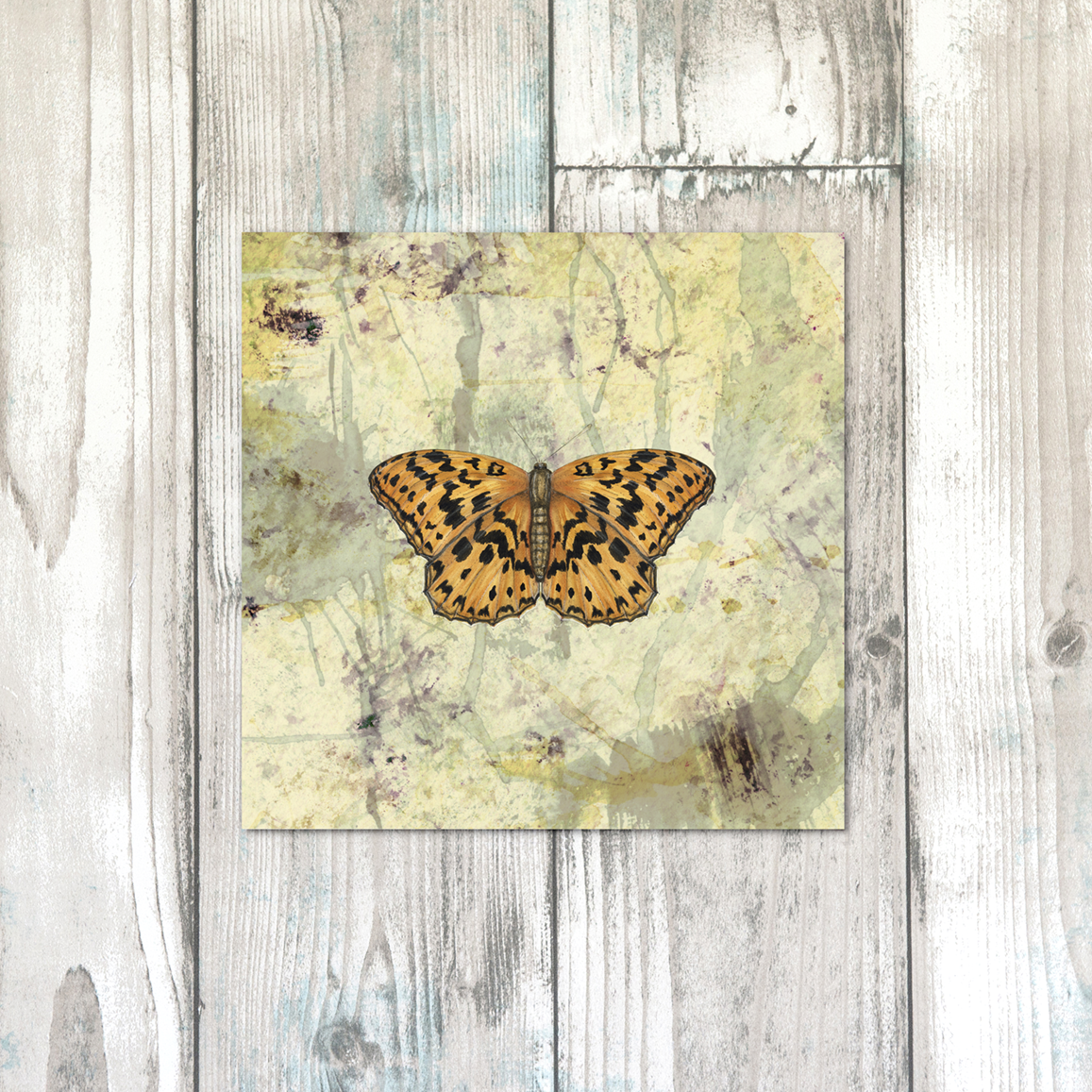 HIGH BROWN FRITILLARY text.png