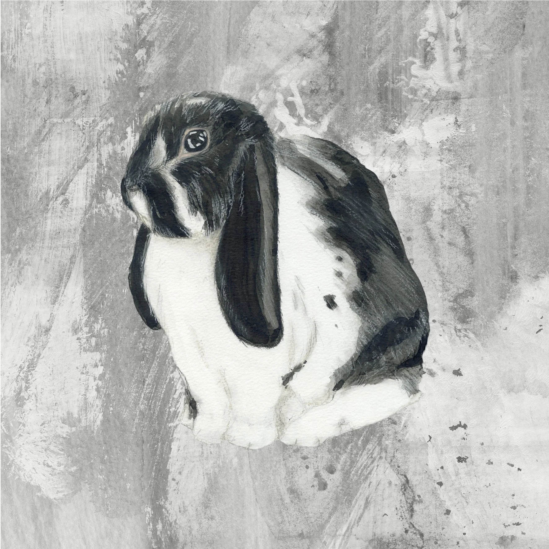 lop eared bunnies singles.jpg