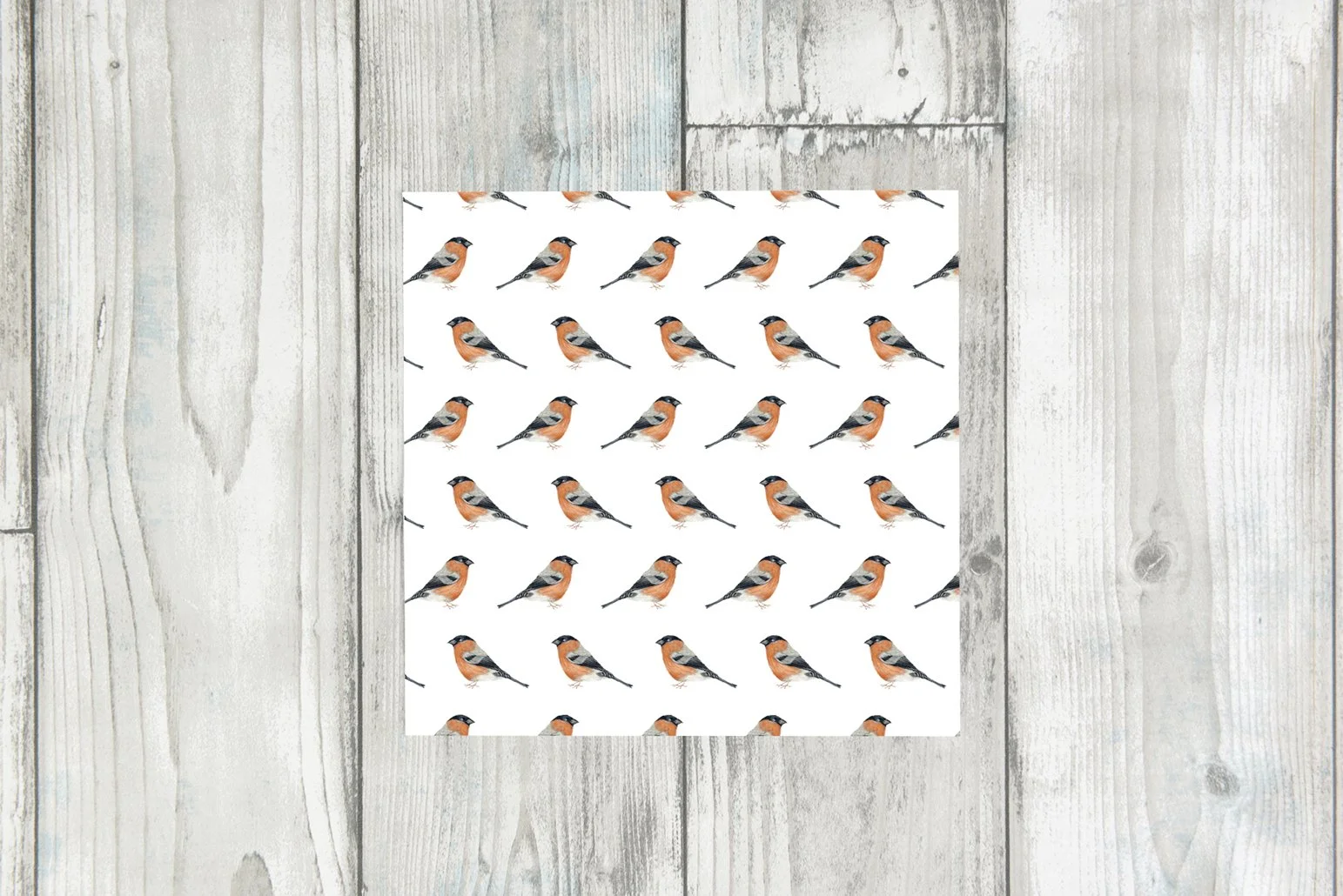 BULLFINCH RPT.jpg