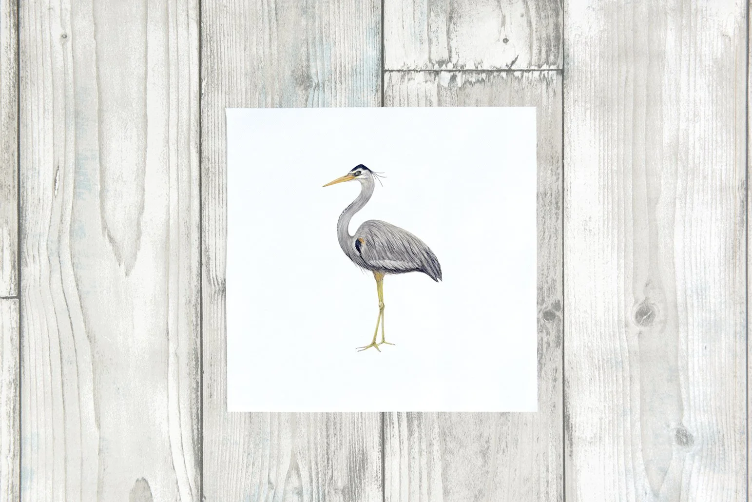 HERON SING.jpg