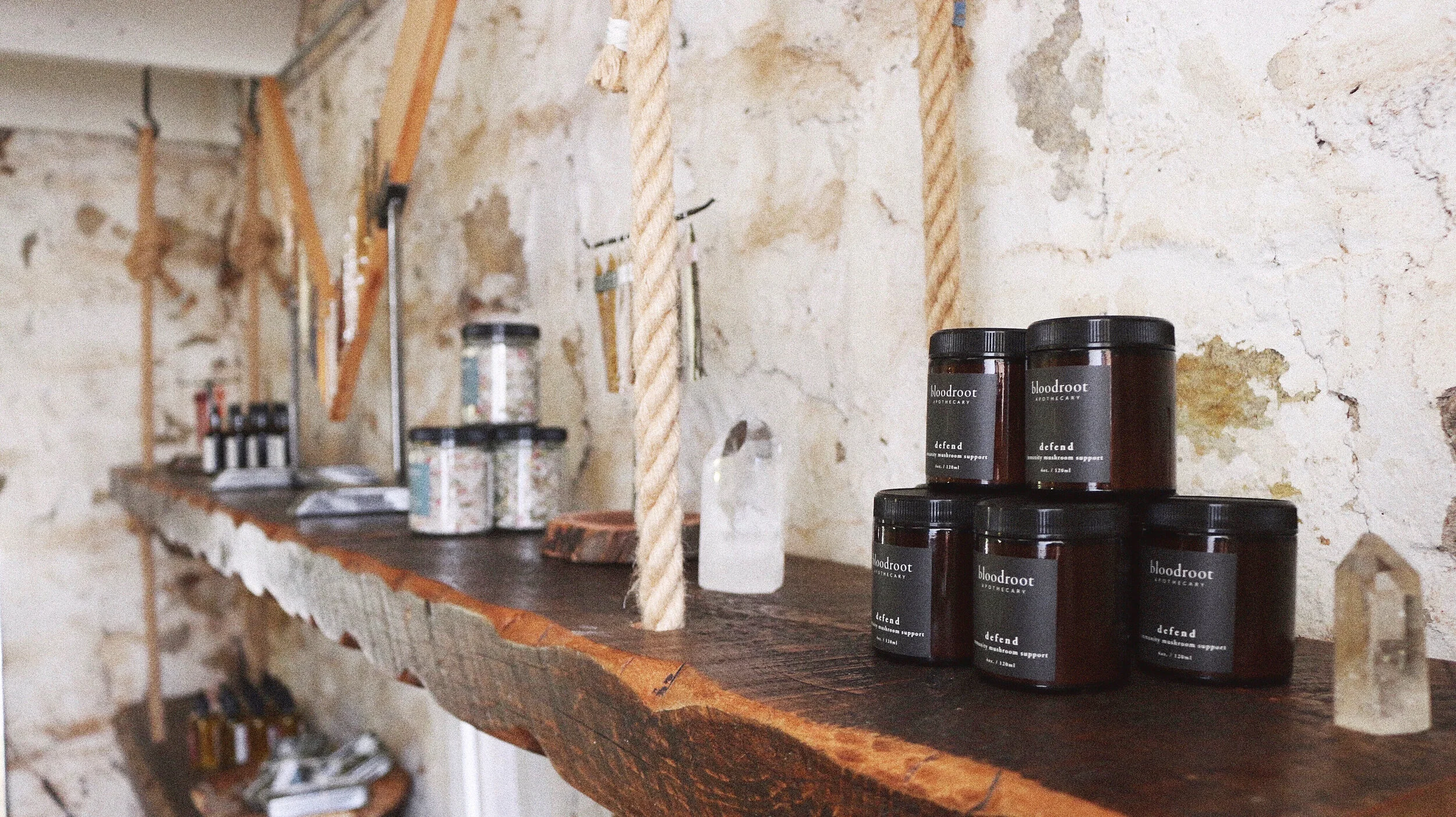 Bloodroot Branding & Packaging