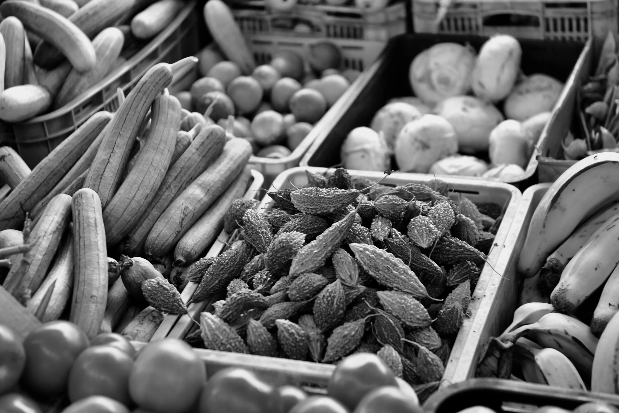 The Power of Plant-Based: How Conscious Eating Creates Change
