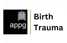 Birth Trauma APPG-LGBT Mummies giving evidence in Parliament