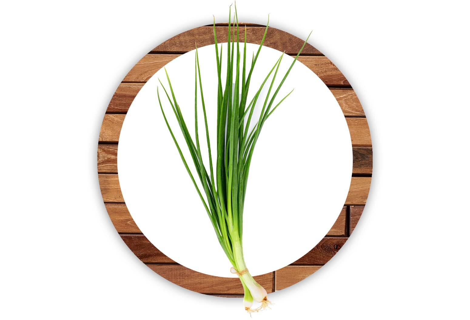 green-onion-circle.jpg