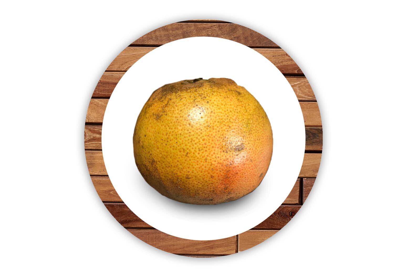 grapefruit-circle.jpg