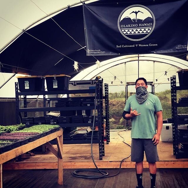 Who&rsquo;s ready for some delicious Microgreens from @olakinohawaiillc in next weeks farm box?! Pictured is their owner and founder Trey Yoshizumi who started the company with a goal to feed Kupuna and his community high density, nutrient rich foods