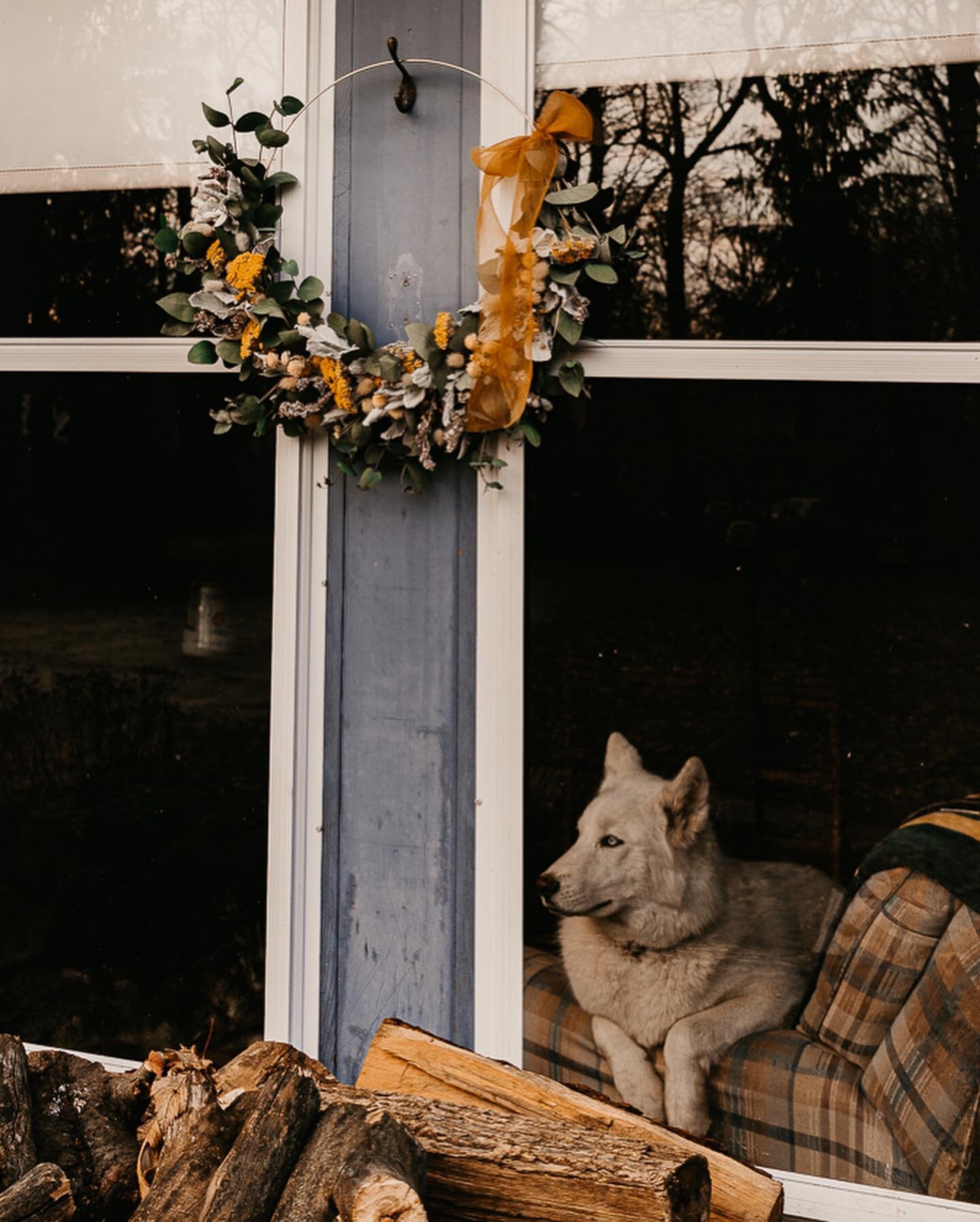 Winter Wreaths are my favorite!
.
.
.
Last year I took a wreath making class with @floretandpine and this year I was lucky enough to score a wreath from @sunborngardens
.
.
.
I still plan to make my own, but when one can support small creative busine