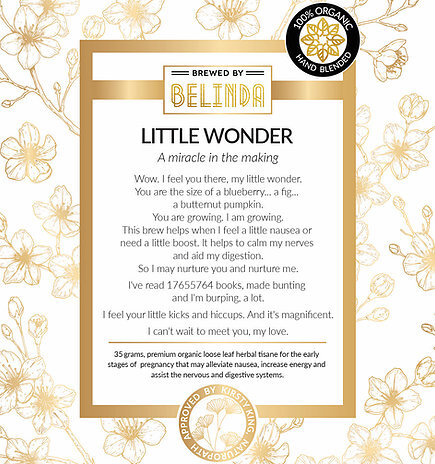 littlewonder.jpeg