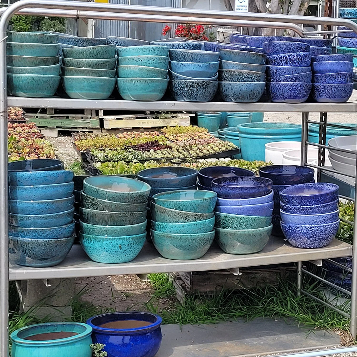 Pottery 1