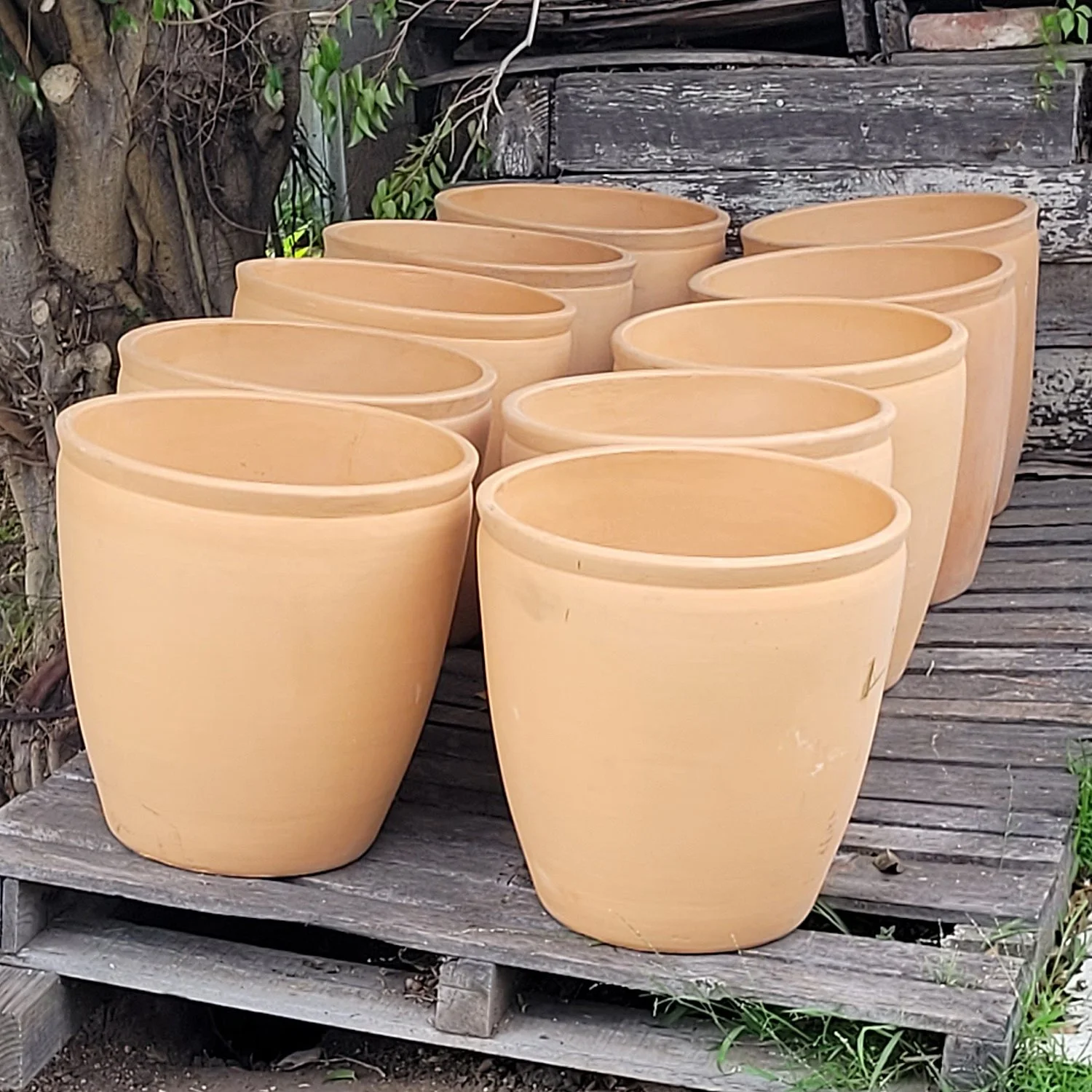 Pottery 12