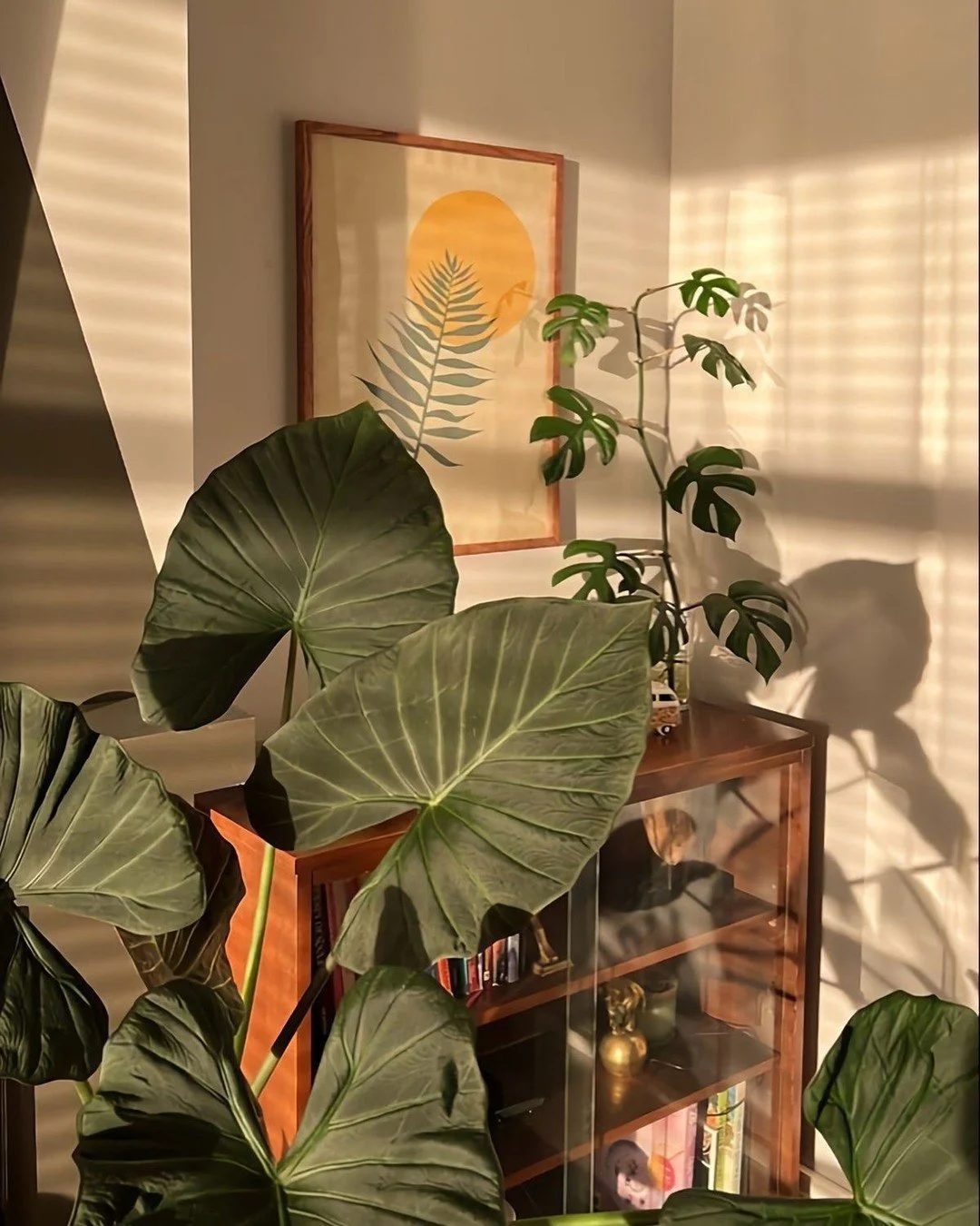 daydreaming about sunny days. we heard the snow is coming, it's time to water your plants. 

if you&rsquo;re stuck at home this sunday or monday and need to late cancel, don&rsquo;t fret! we&rsquo;ve waived our 20% cancellation fee for 01.25-26 only.