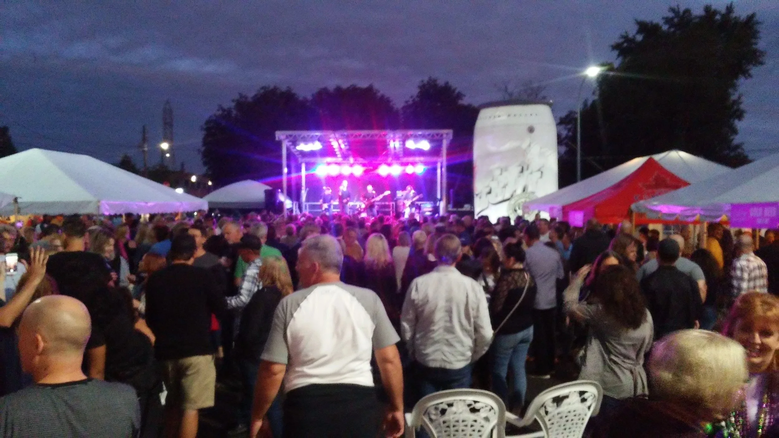 Event security staff managing winery event crowd control Niagara Region