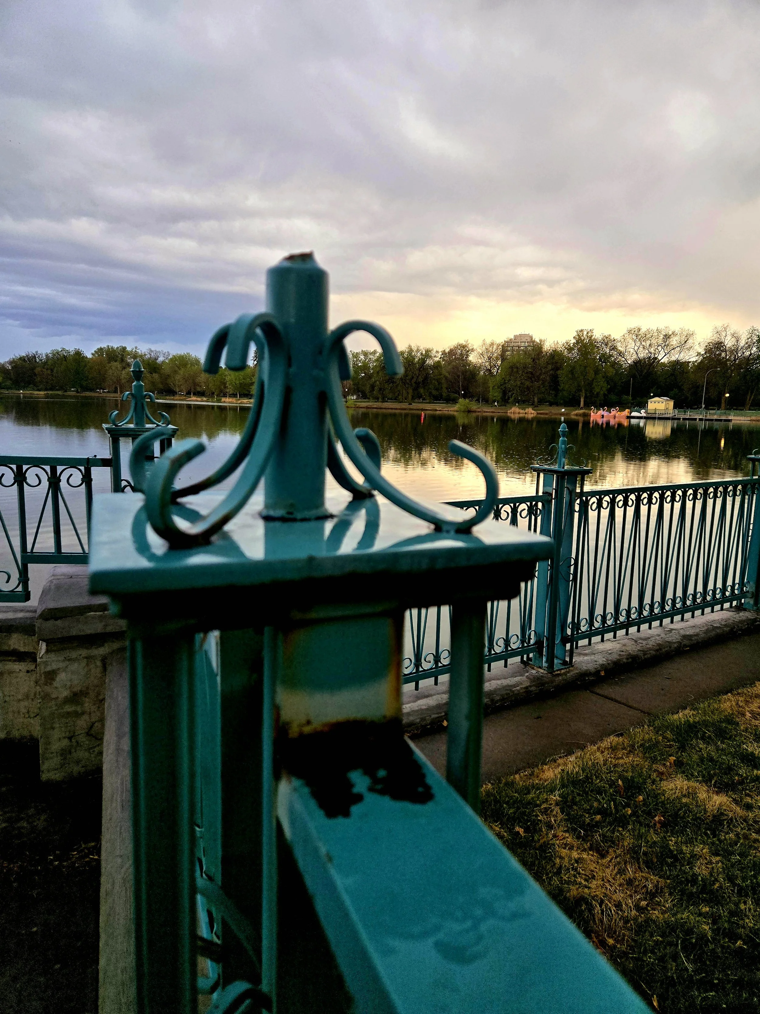 20260426_192415.jpg