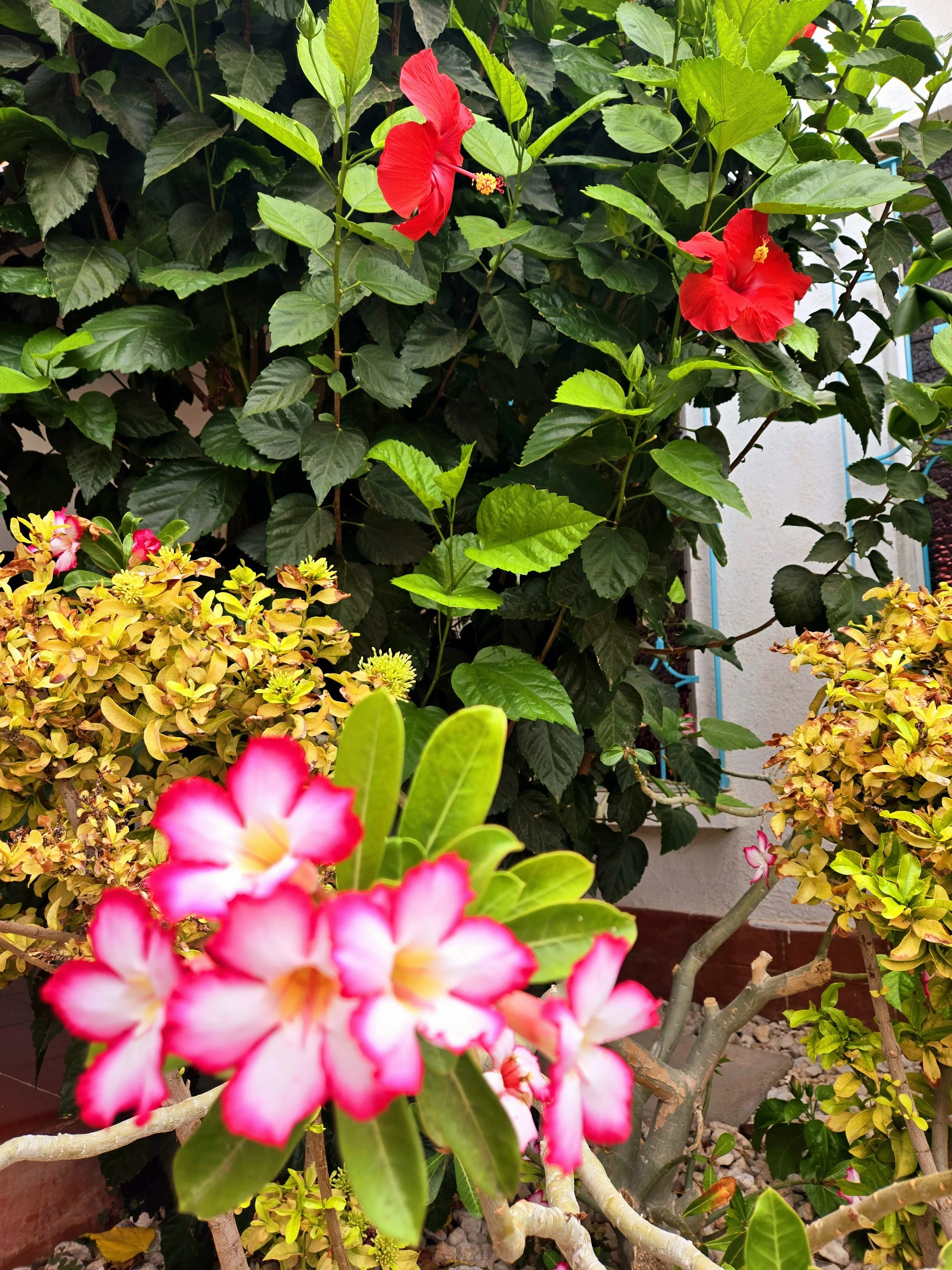 20240613_080223.jpg
