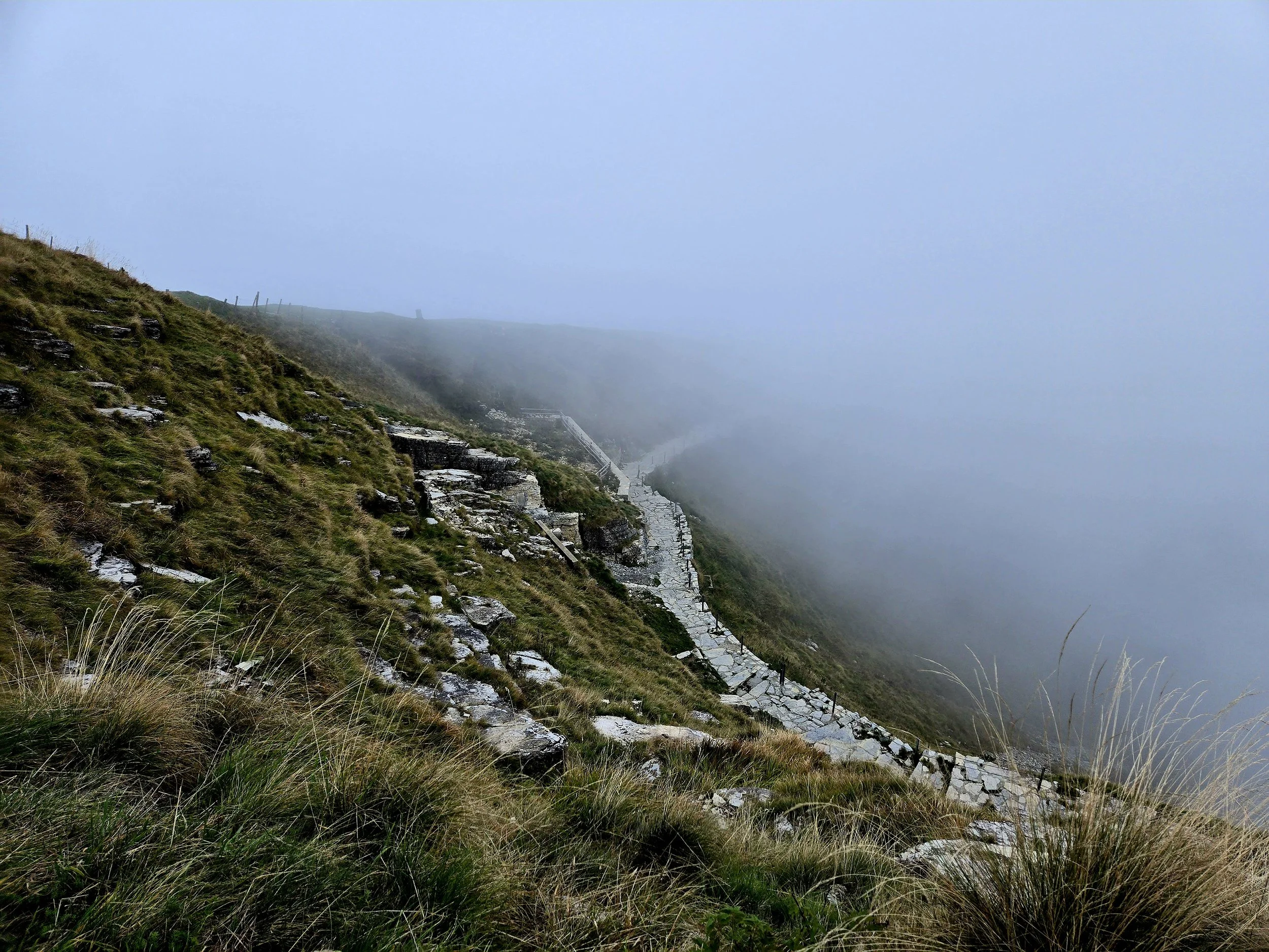 20241006_170414.jpg