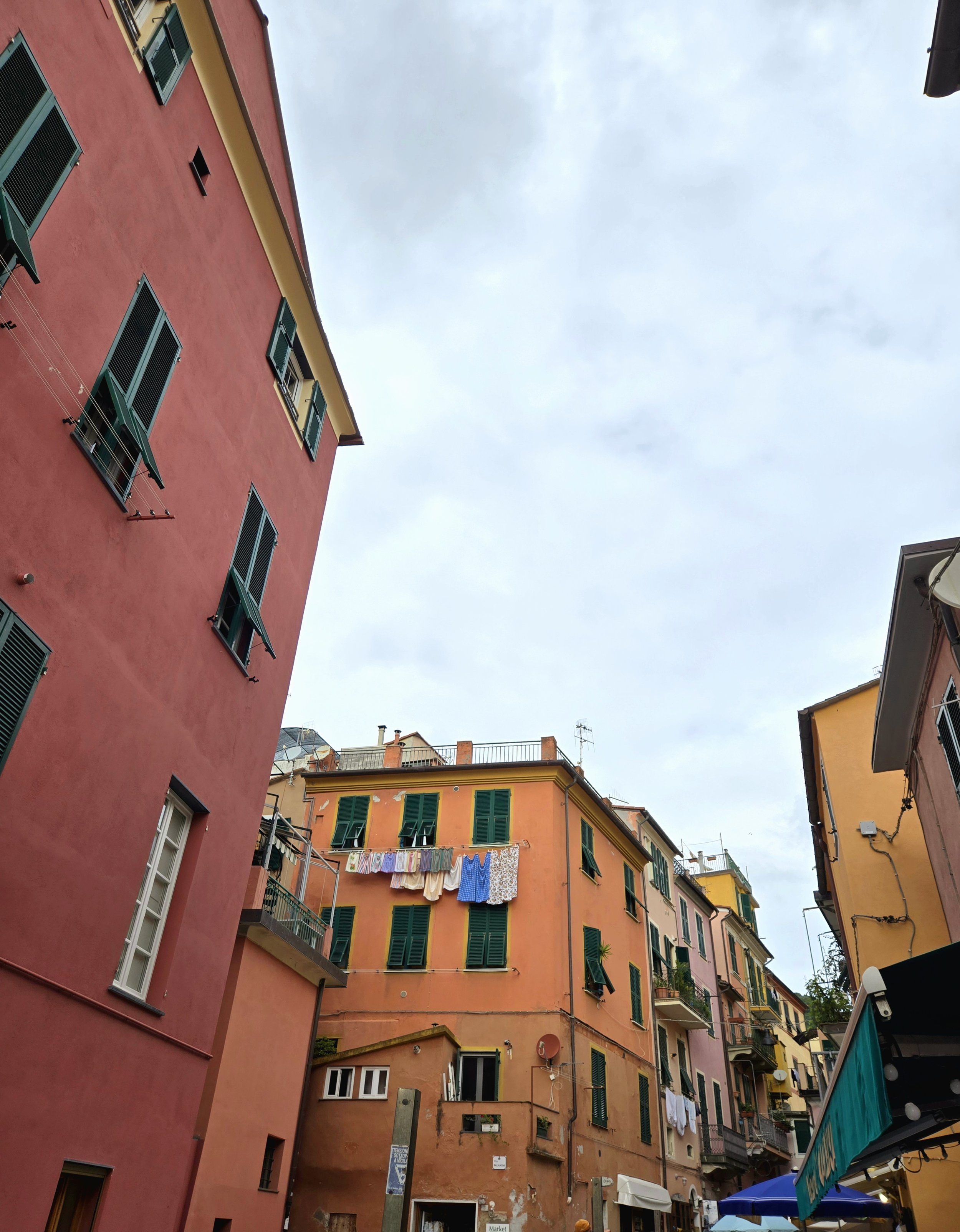 20241004_115719.jpg