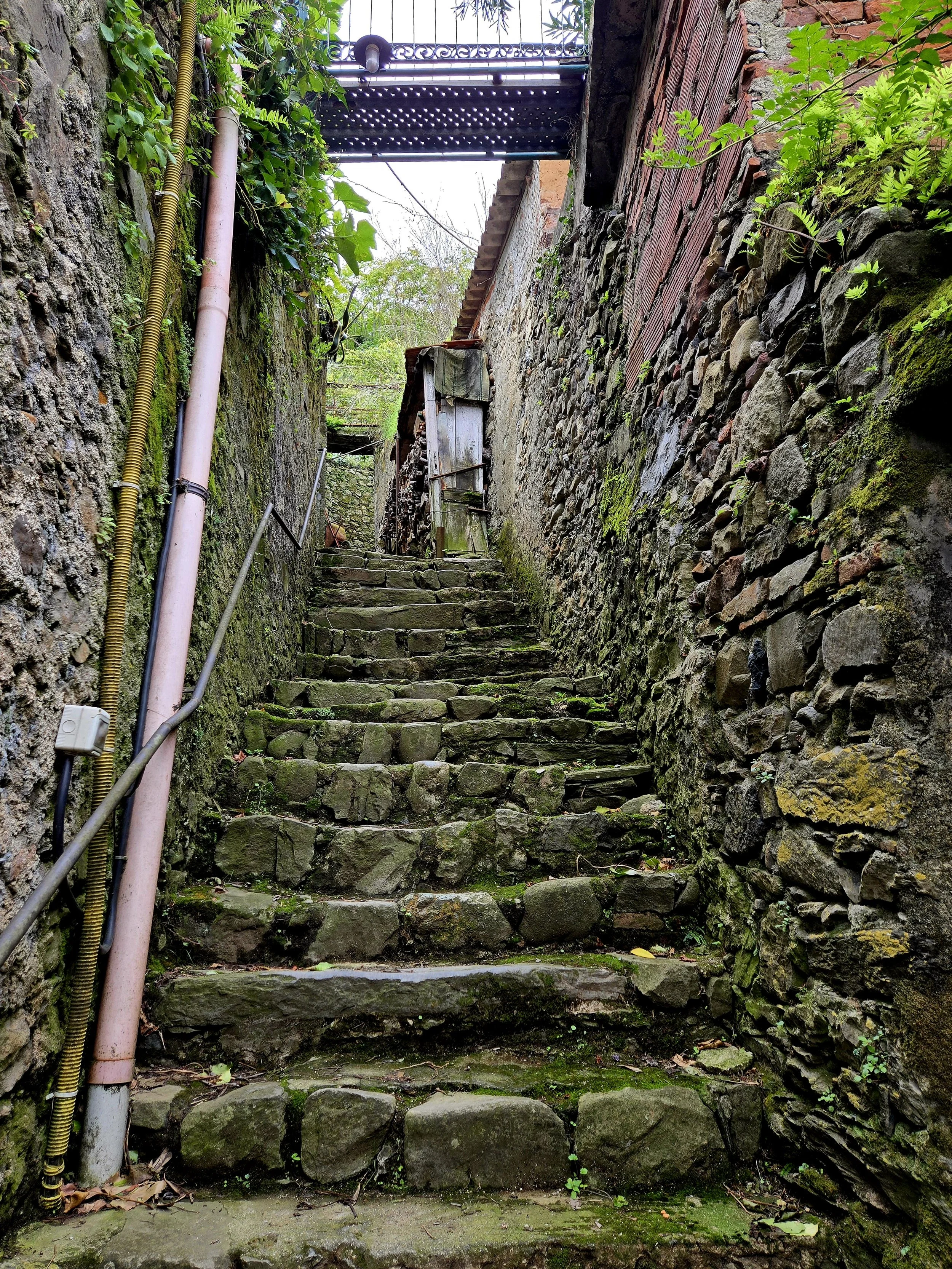 20241004_142702.jpg