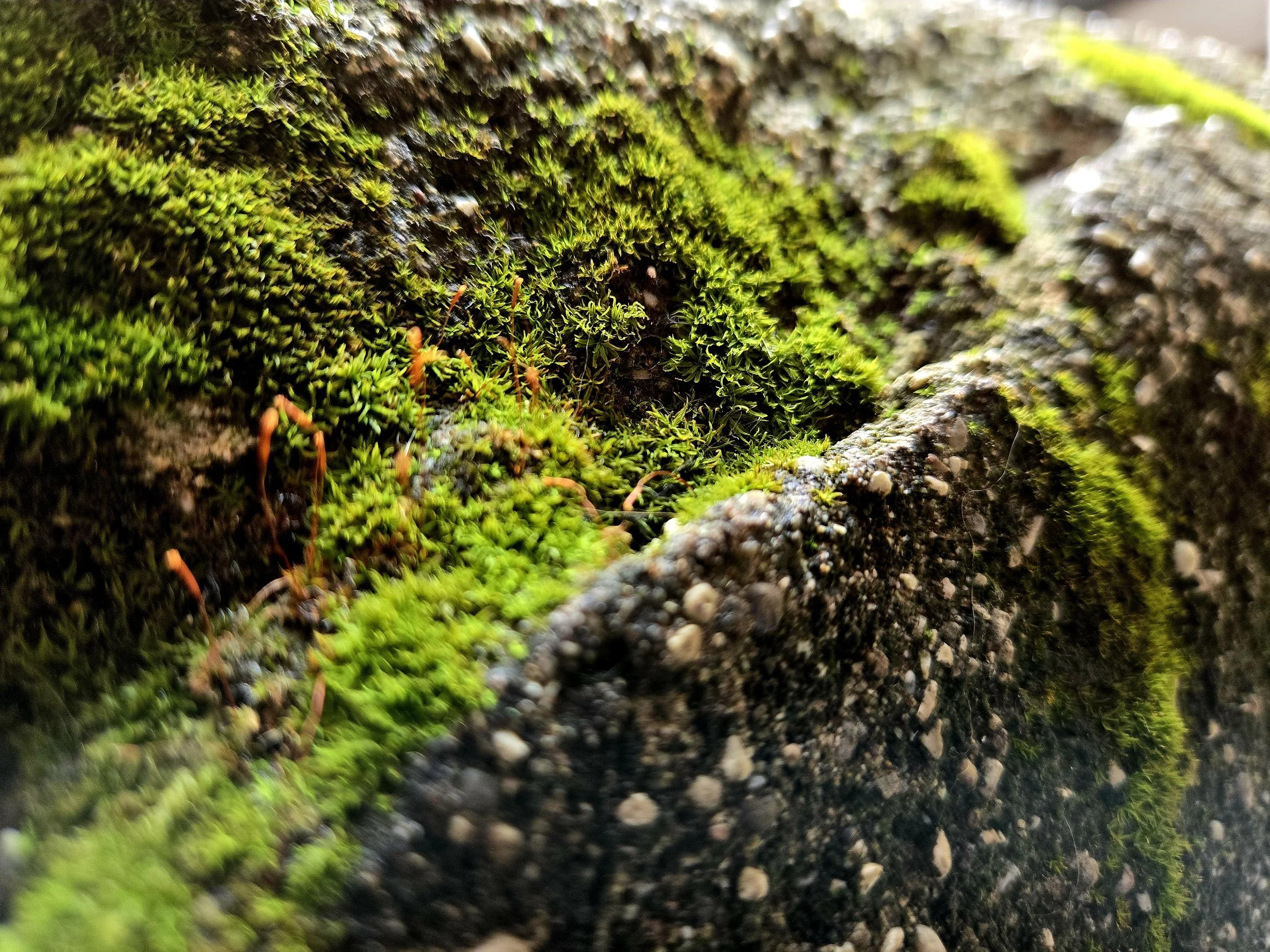 20241004_112459.jpg