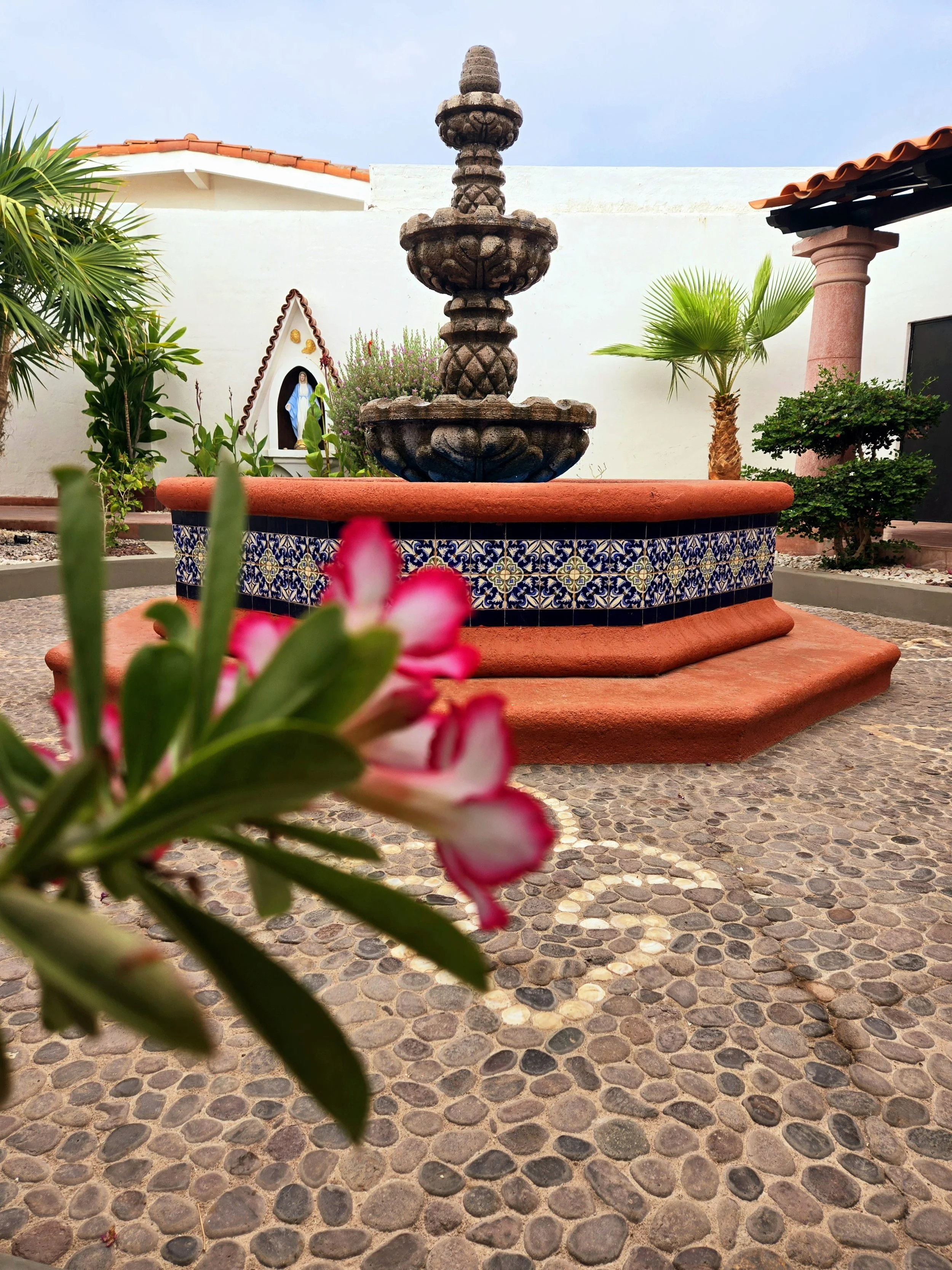 20240613_080347.jpg