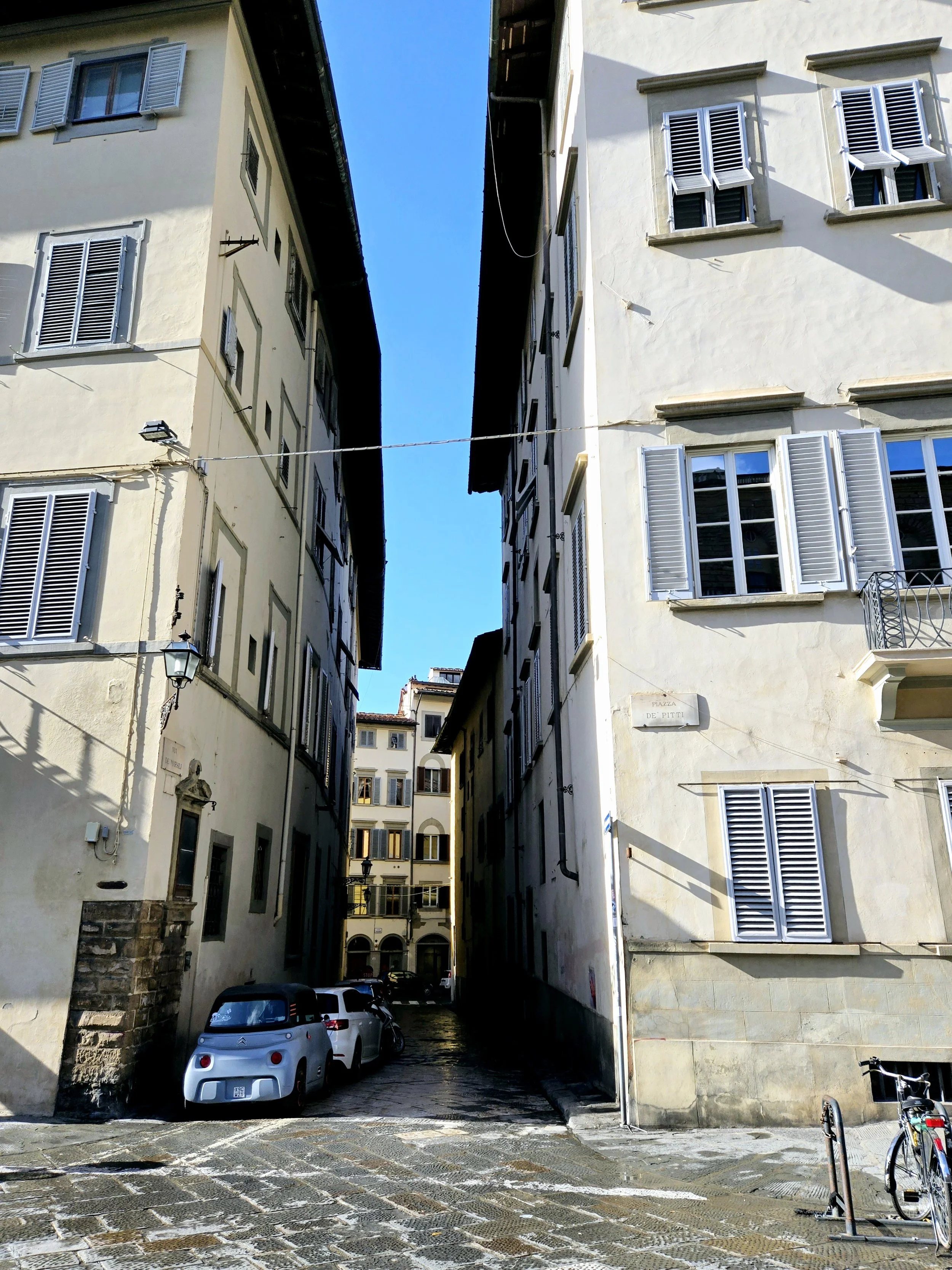 20241010_152930.jpg