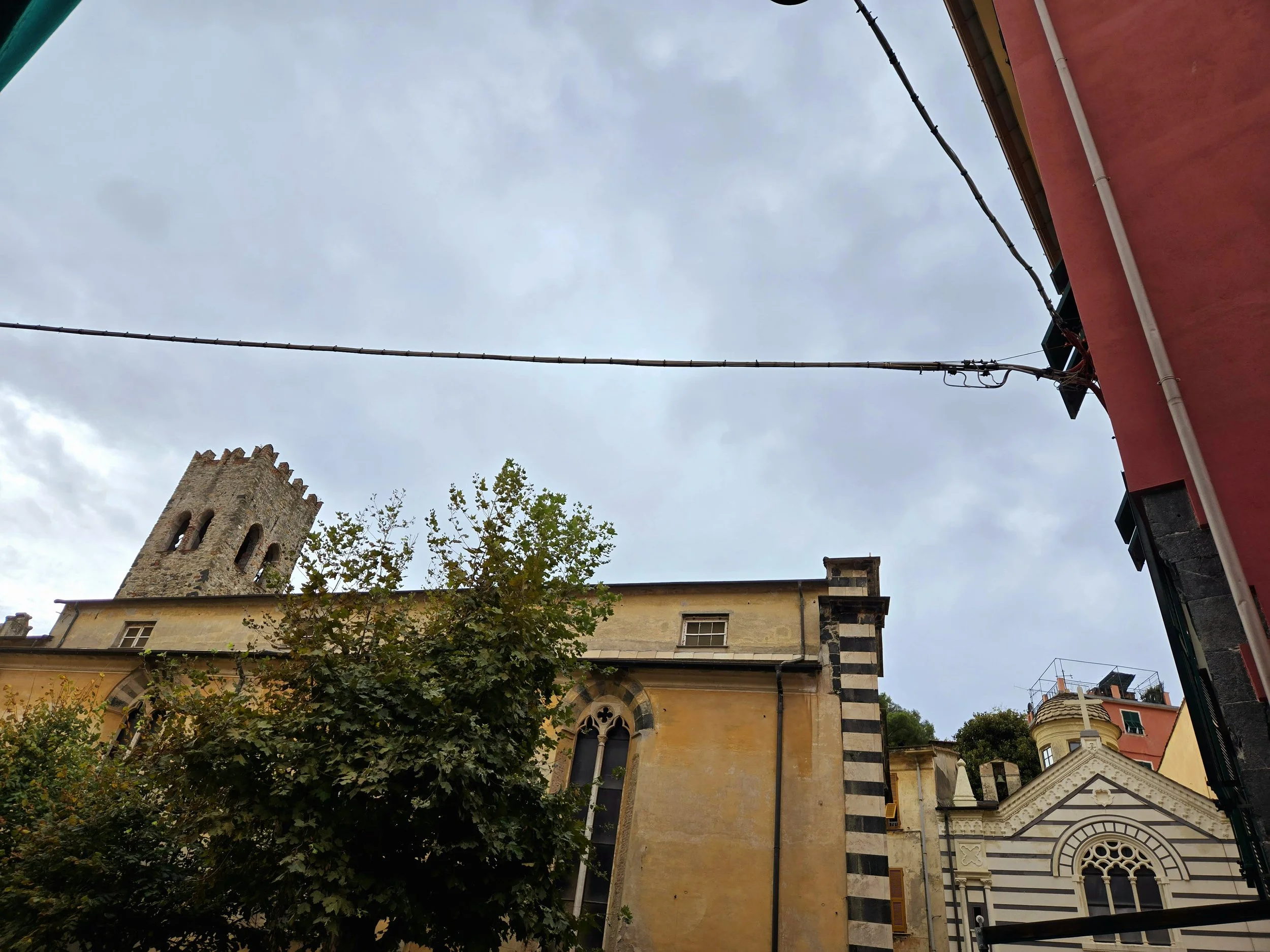20241004_115652.jpg