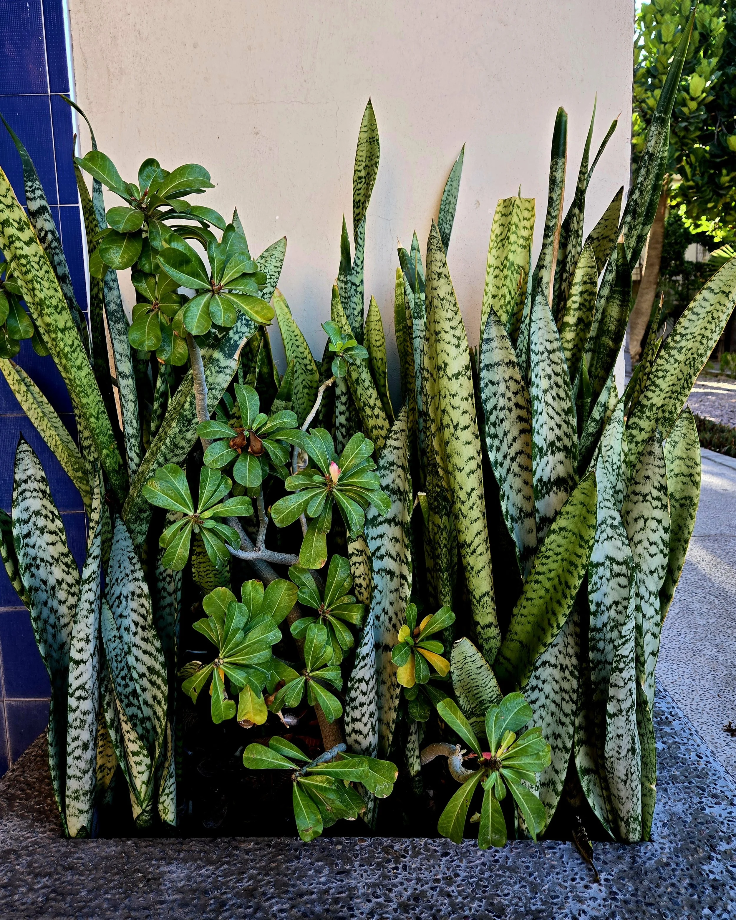 20240610_075517.jpg
