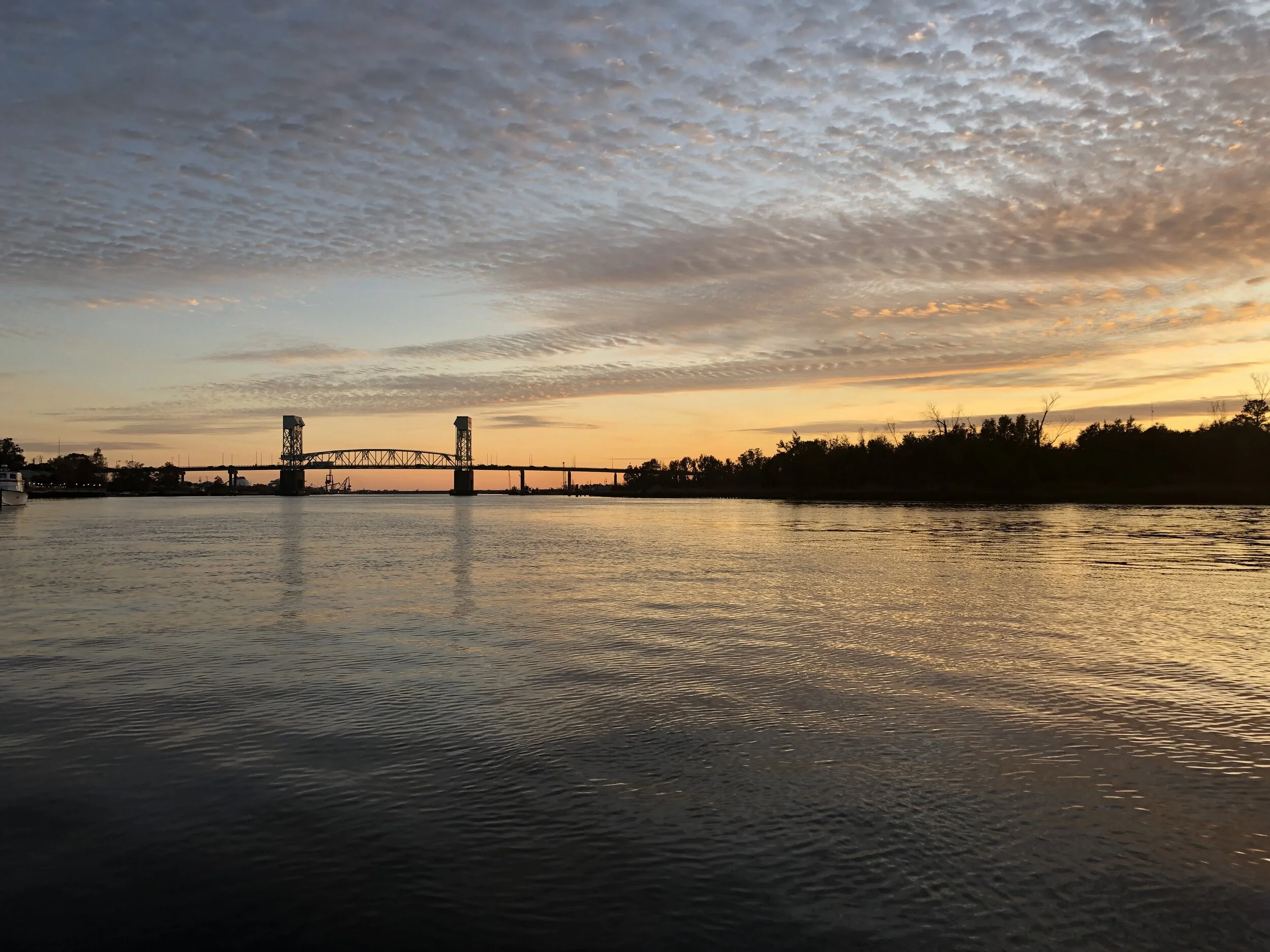 wilmbridge.jpg