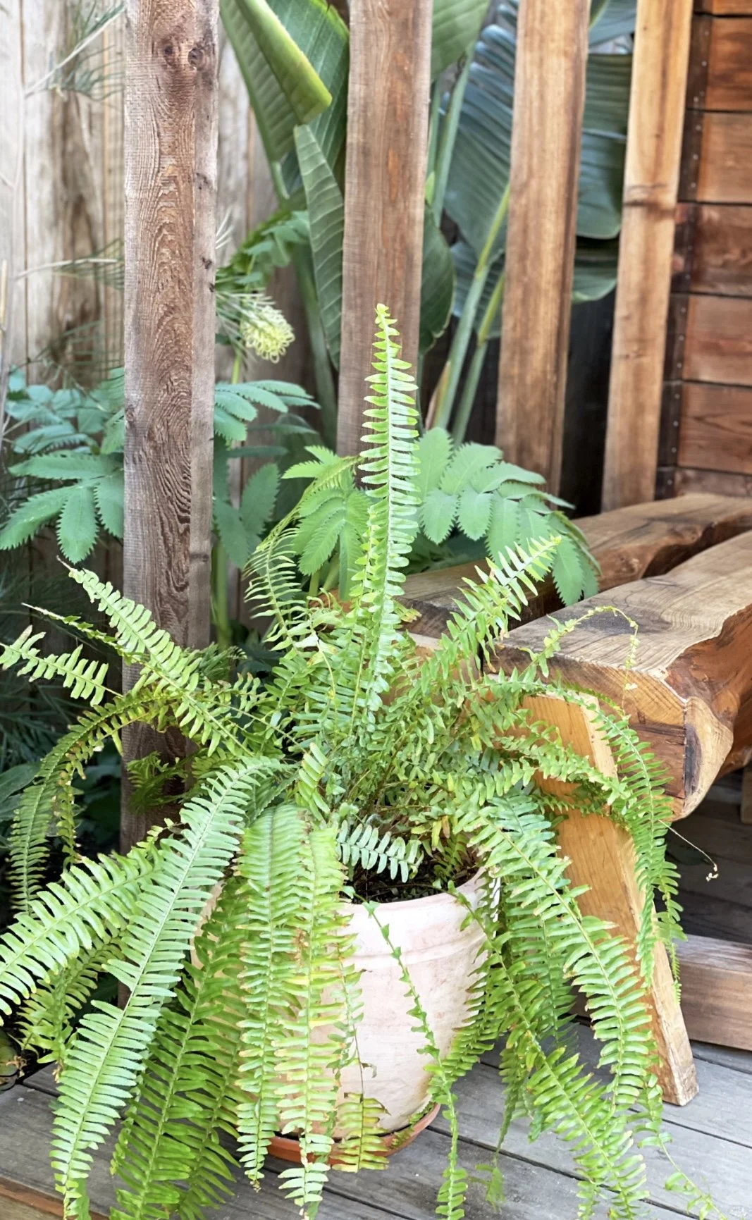 14B624BC-C2CF-471A-9FBB-2D03C9C77A63 2.jpg