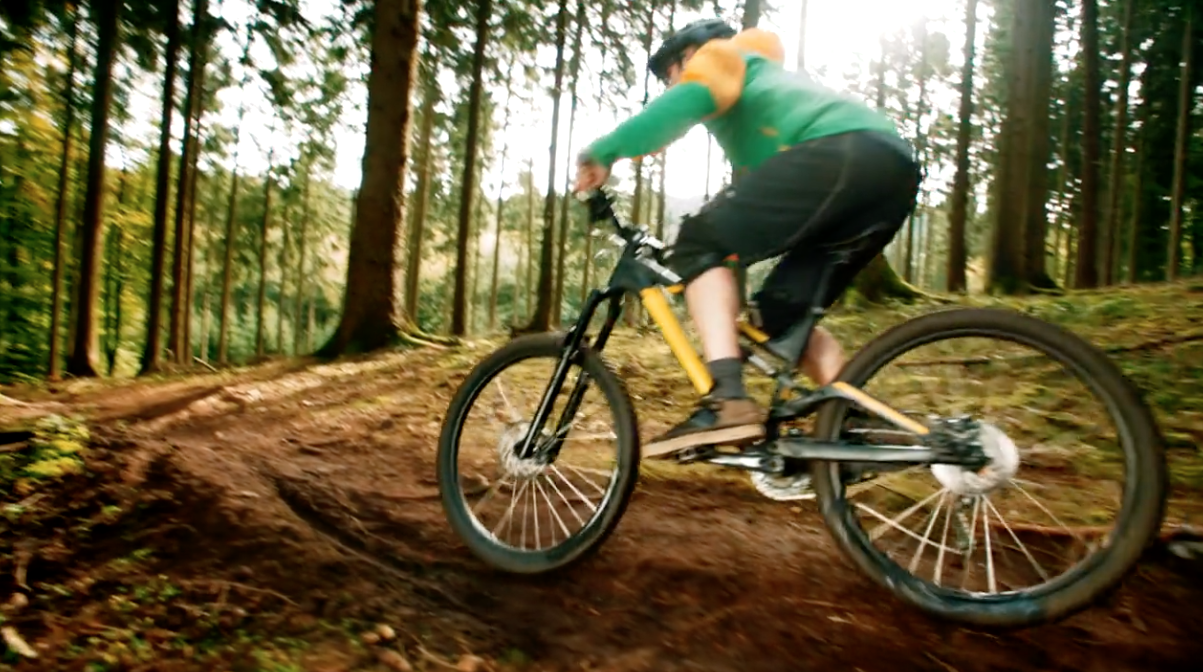 mountain-bike-dockton-trail-vashon.png