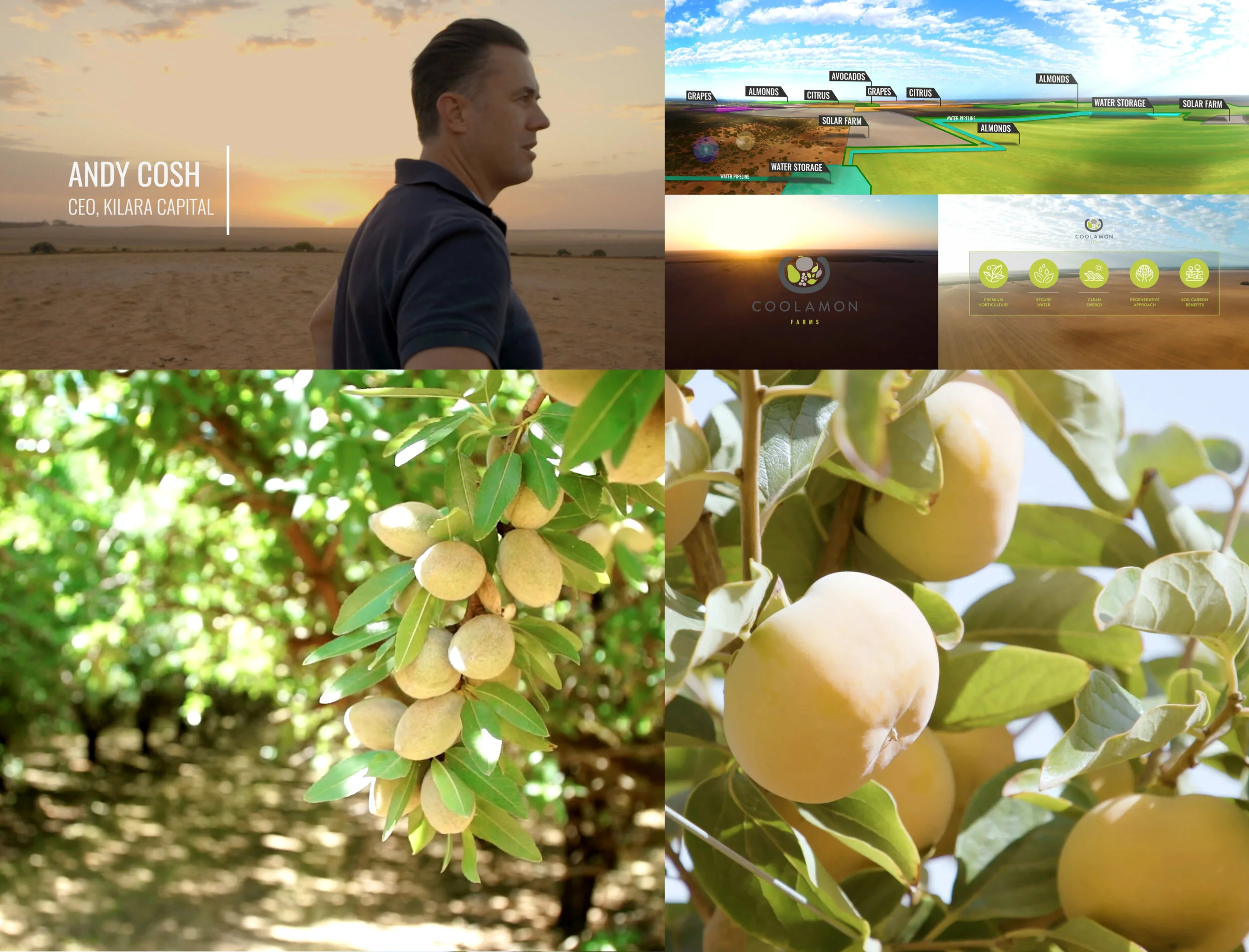 Coolamon 3.jpg