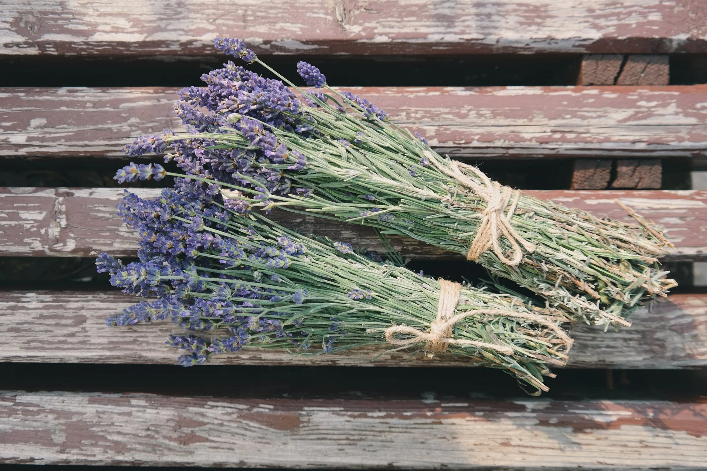 Lavender bundles.jpeg