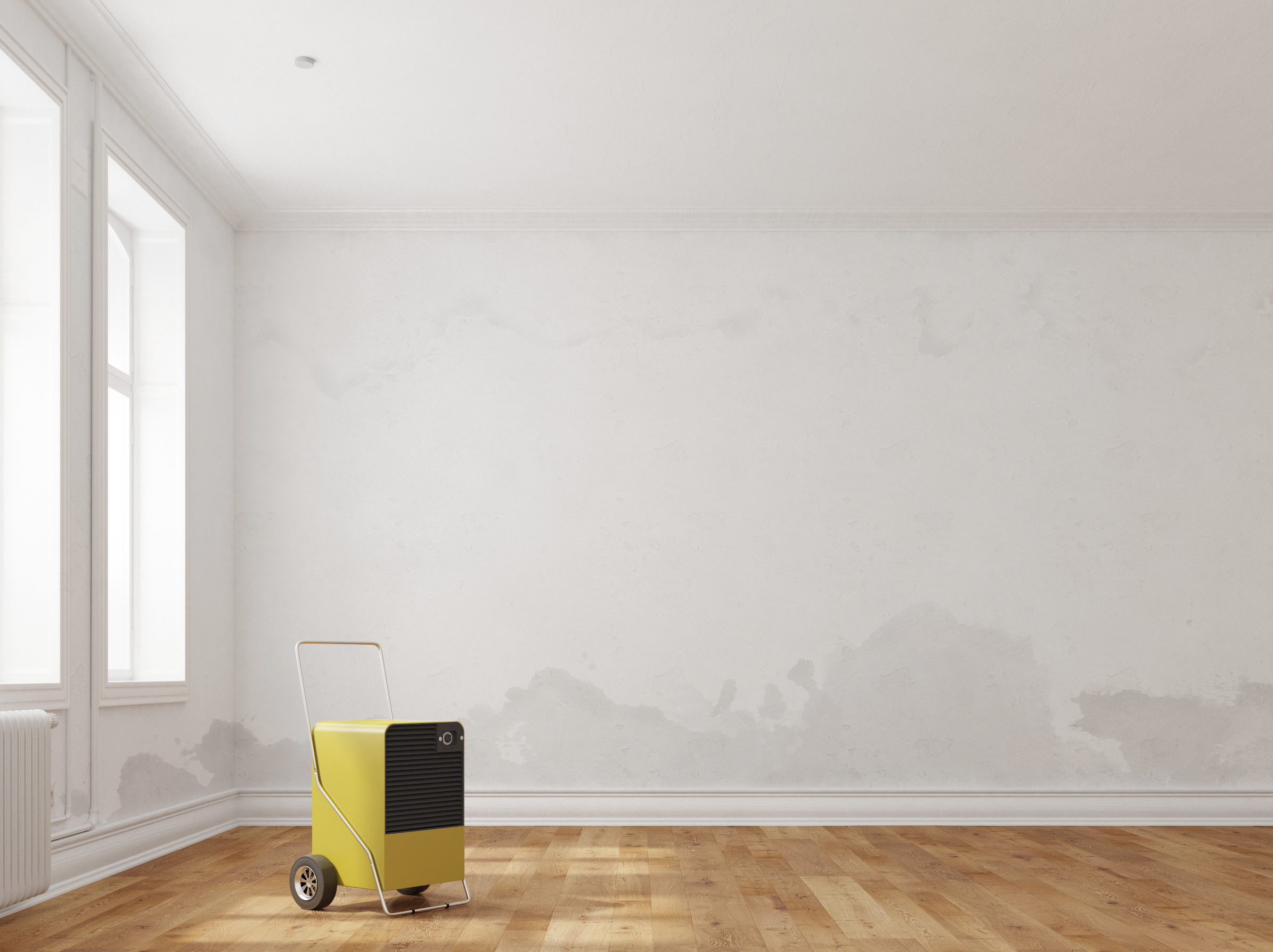 Bildschirmfoto 2021-07-21 um 06.19.14.png