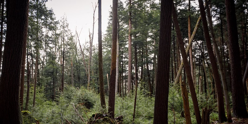 REI Cooperative Action Fund: Measurement Framework for Systems Change