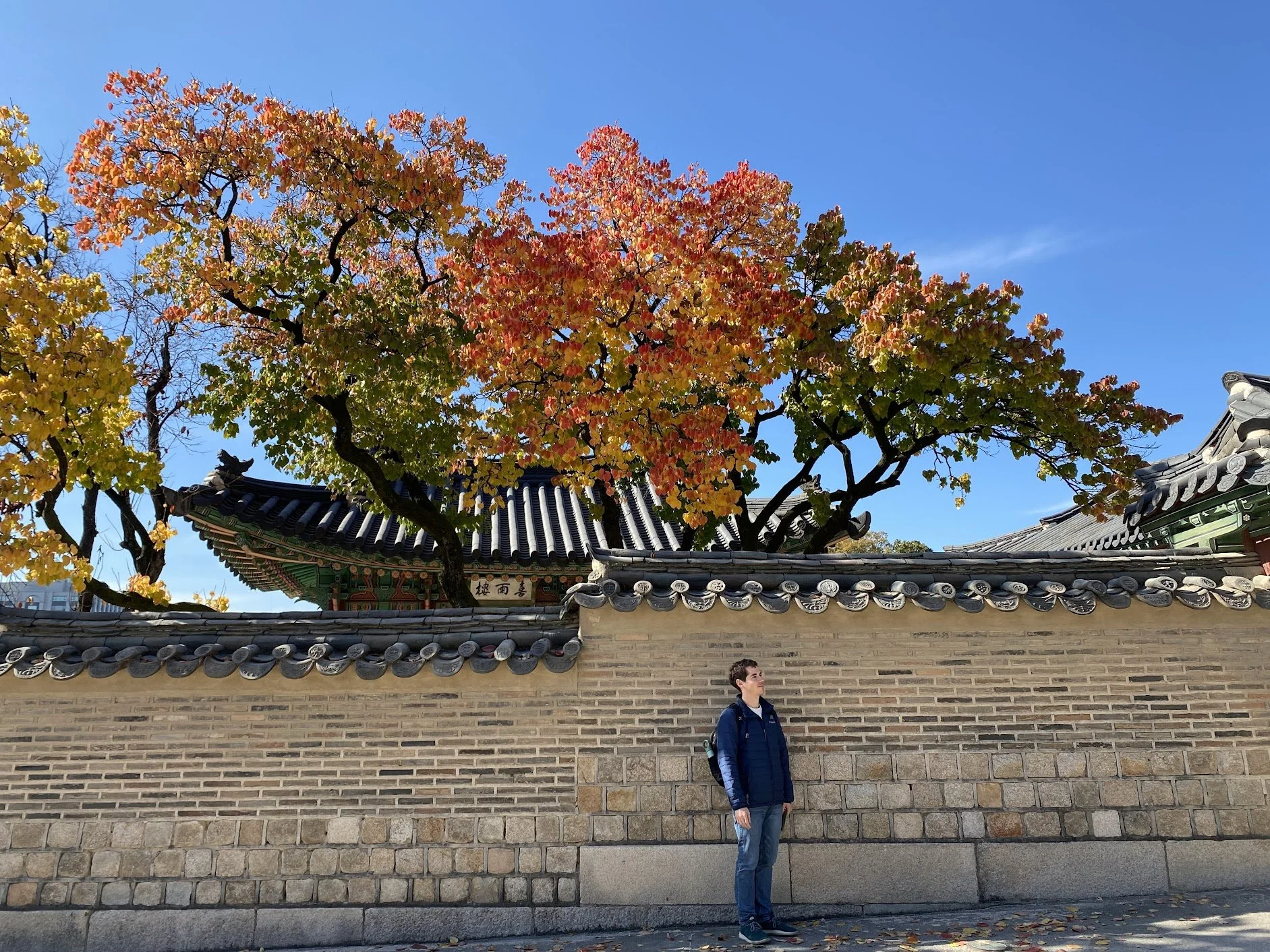 Seoul, Korea