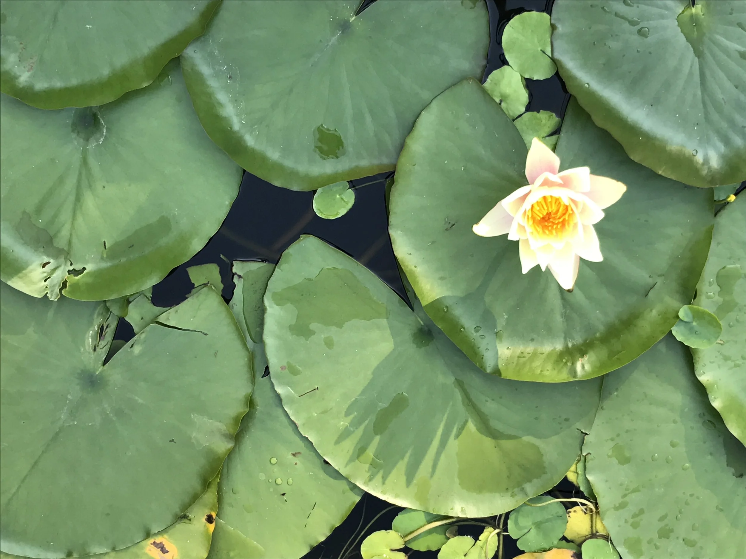 How to Talk so People Will Listen