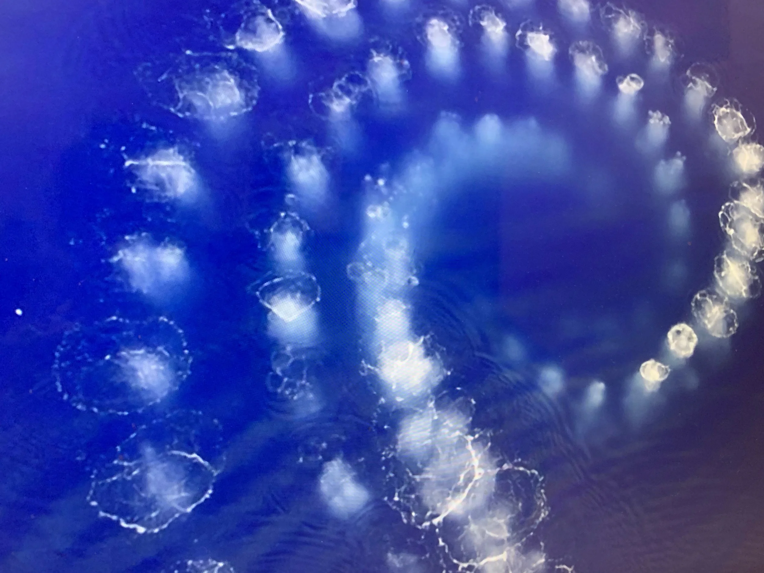 “Alarmed Aloneness” and How it is Impacting Your Health