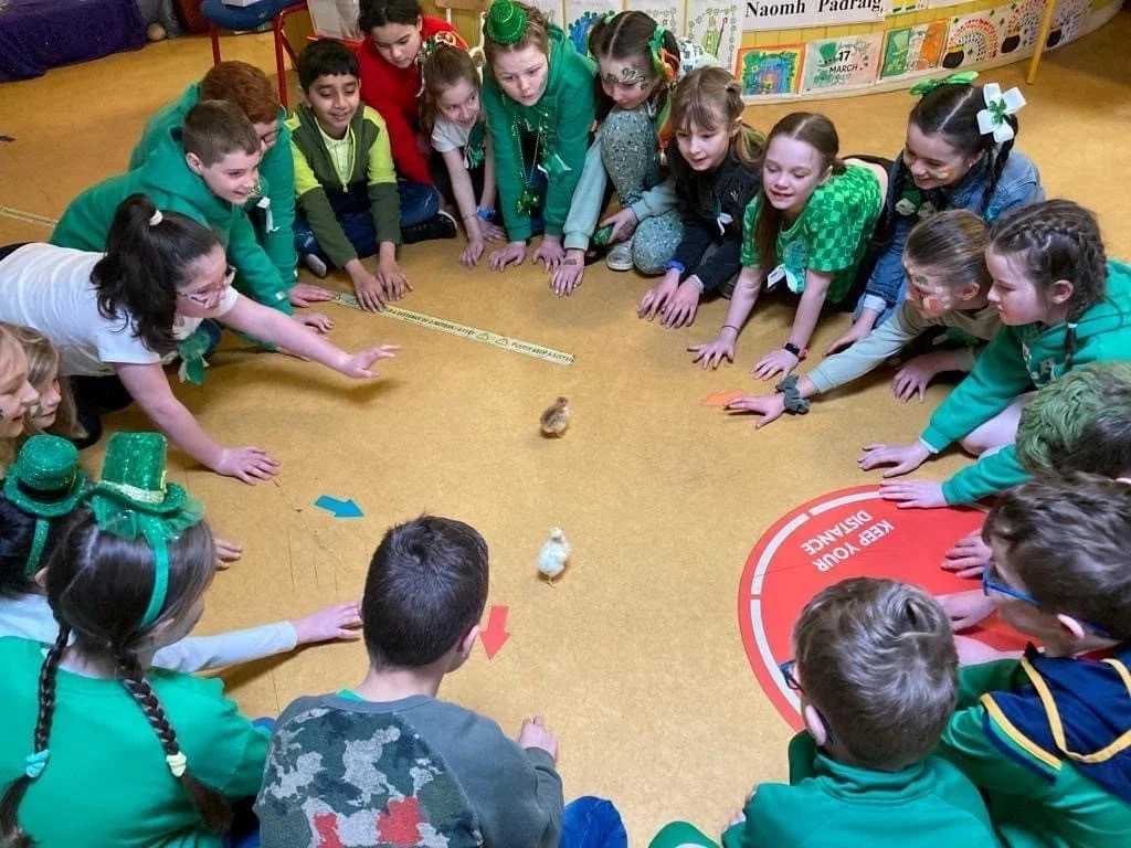 Getting to know our Scoil Íosagáin chicks!