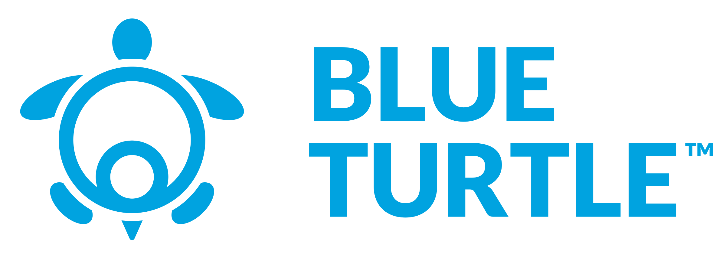 Blue Turtle logo