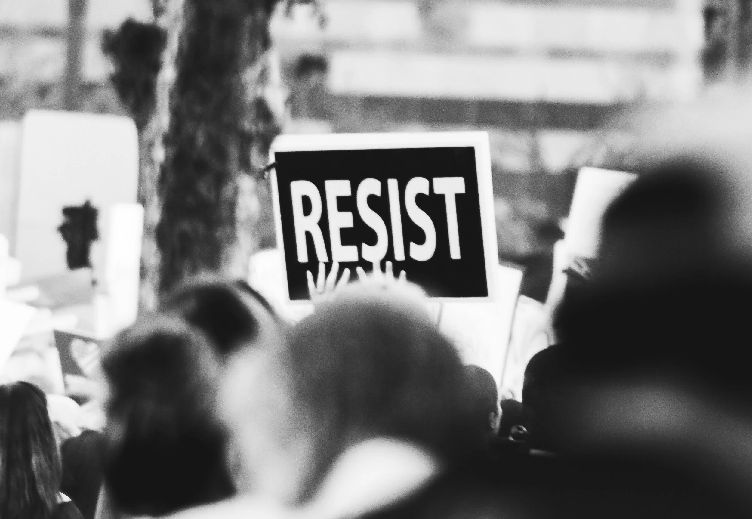 take action 1.jpg