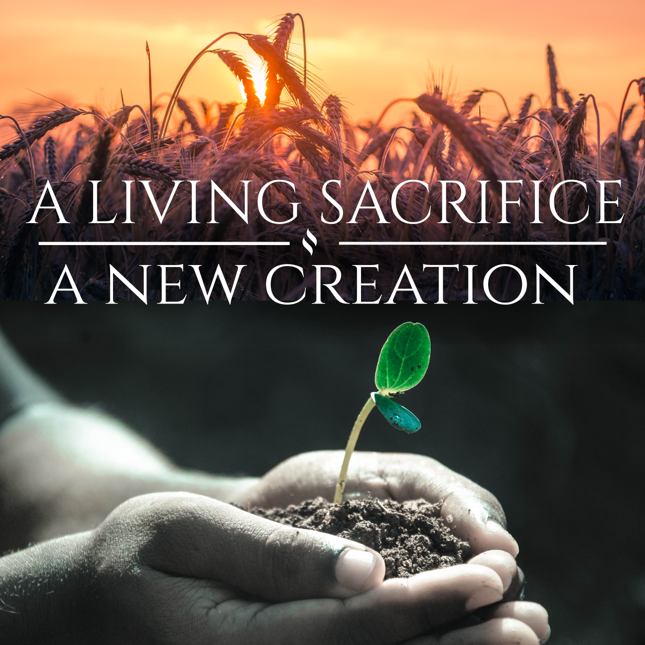 Living Sacrifice