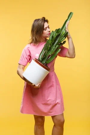 Gallery — Lou Sanders(01)