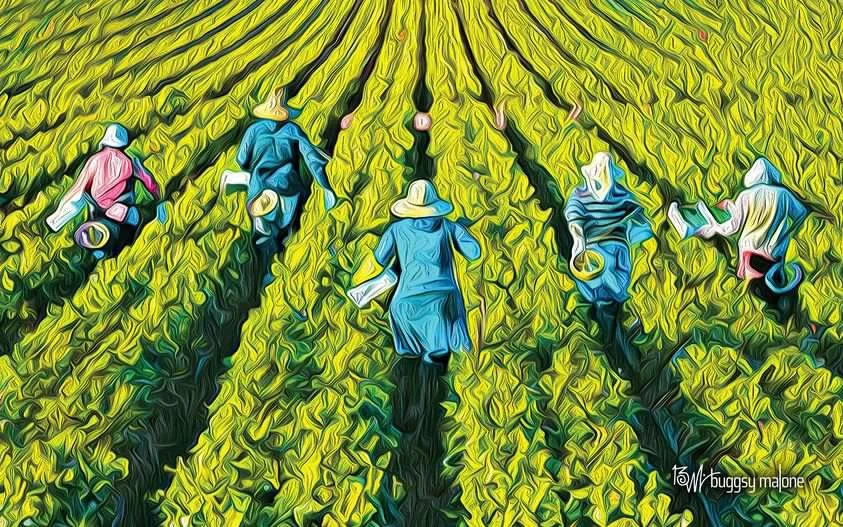 ESSENTIAL WORKERS
