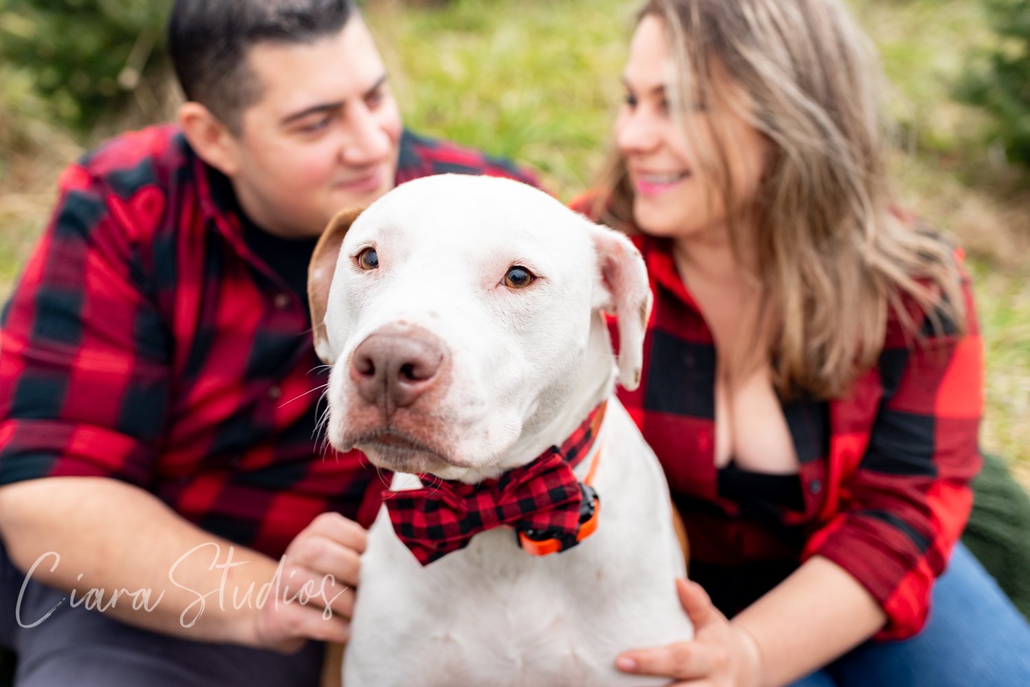 Syracuse Engagement Photo Session with their dog