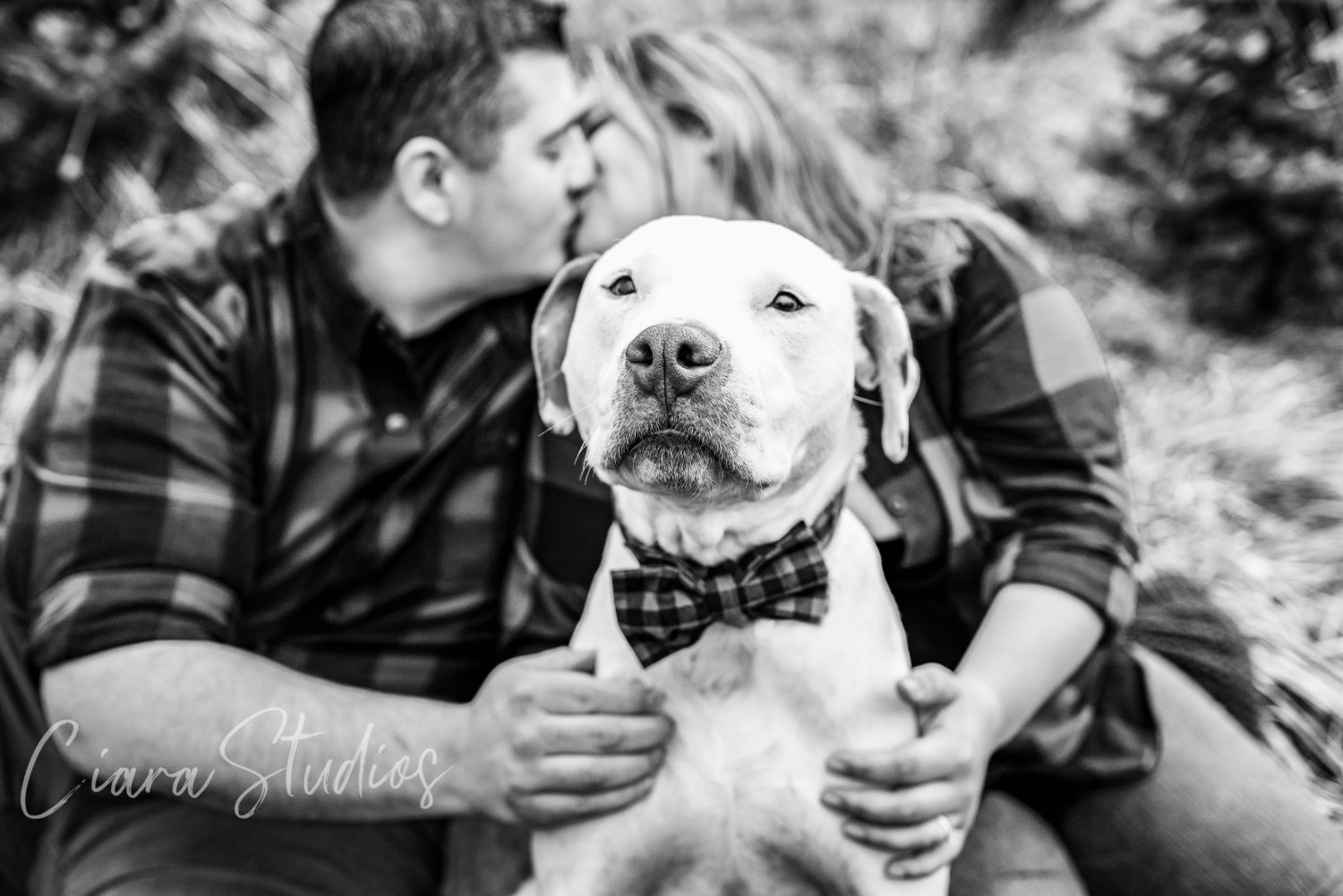 Syracuse Engagement Photo Session with their dog